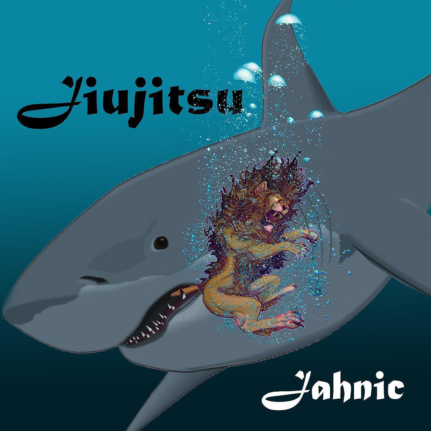 Постер альбома Jiujitsu Bjj