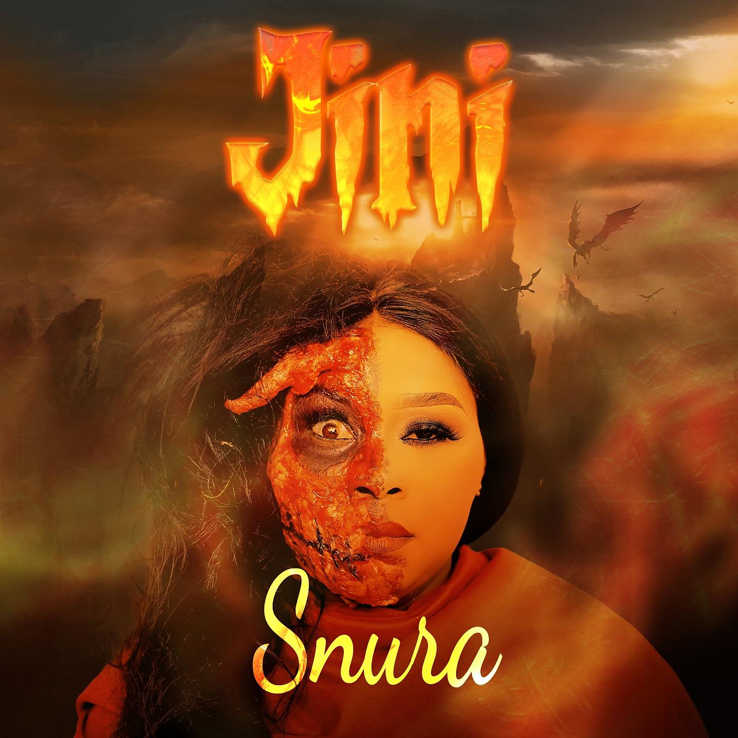 Постер альбома Jini