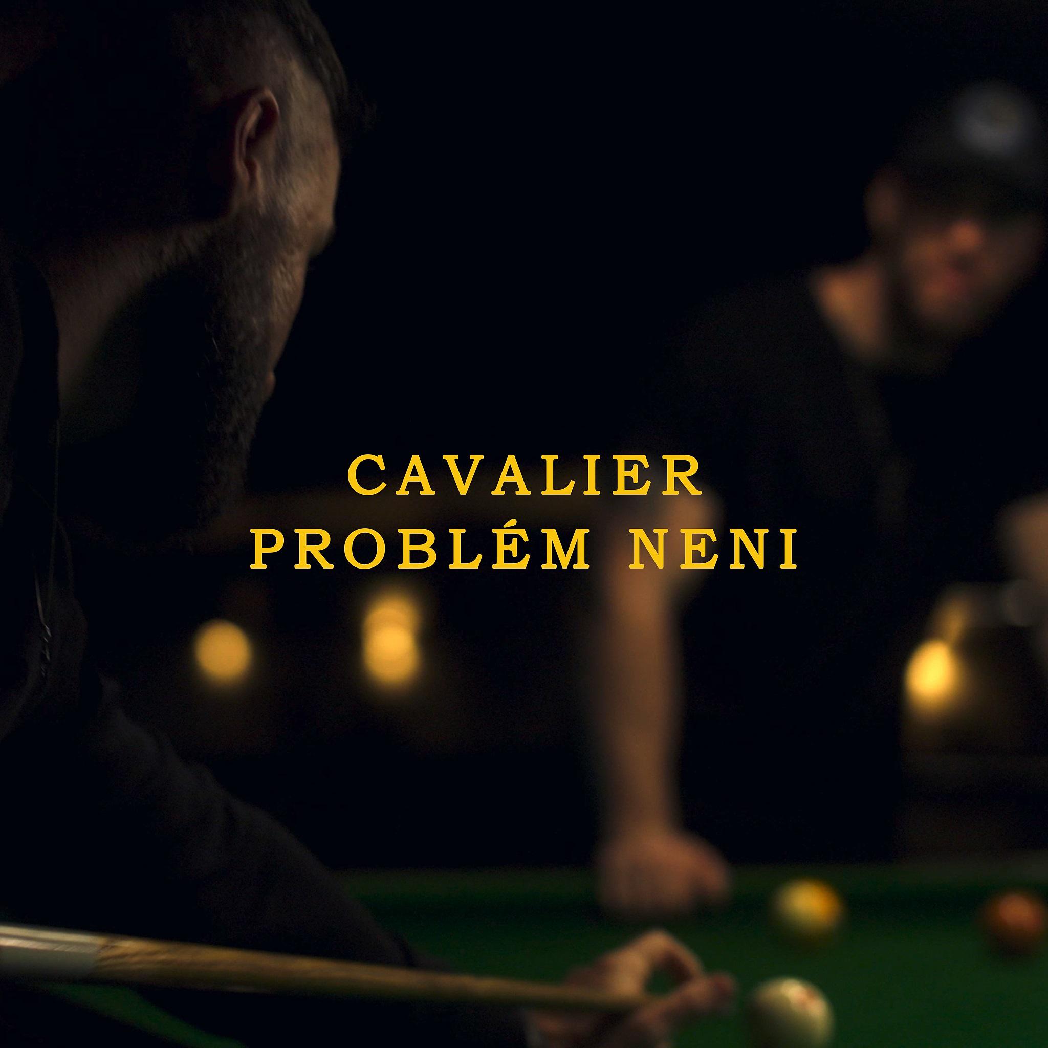 Постер альбома Problém neni