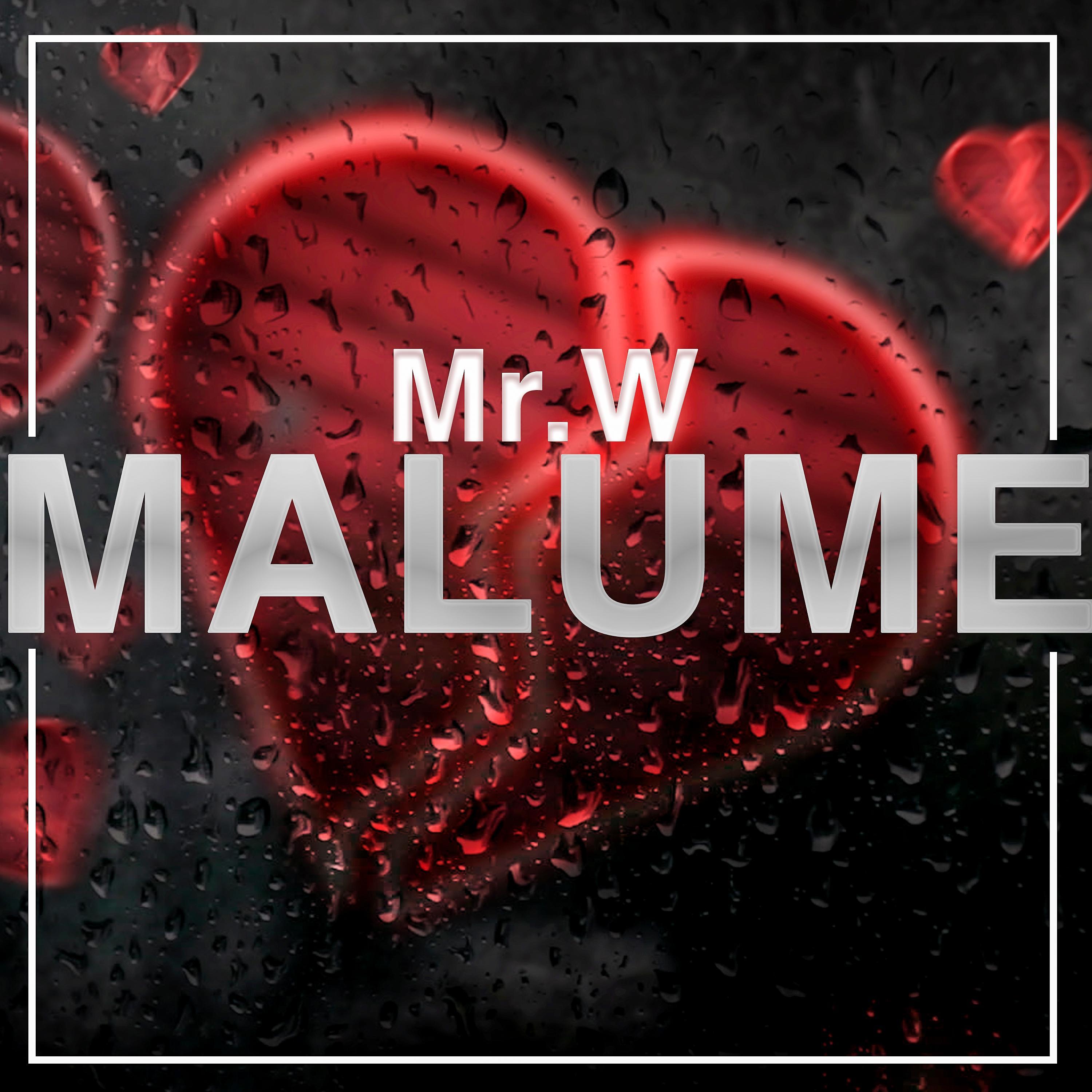 Постер альбома Malume