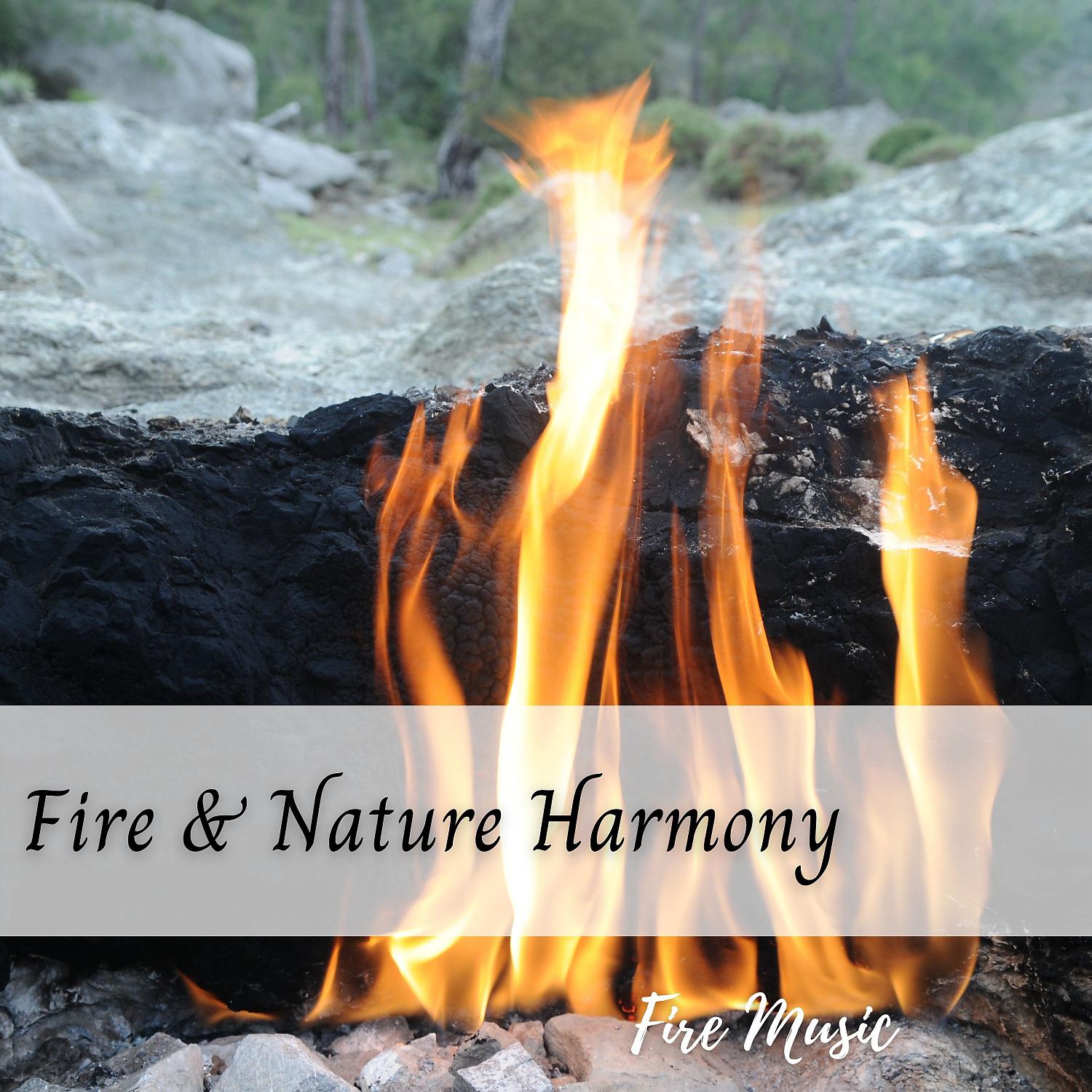Постер альбома Fire Music: Fire & Nature Harmony