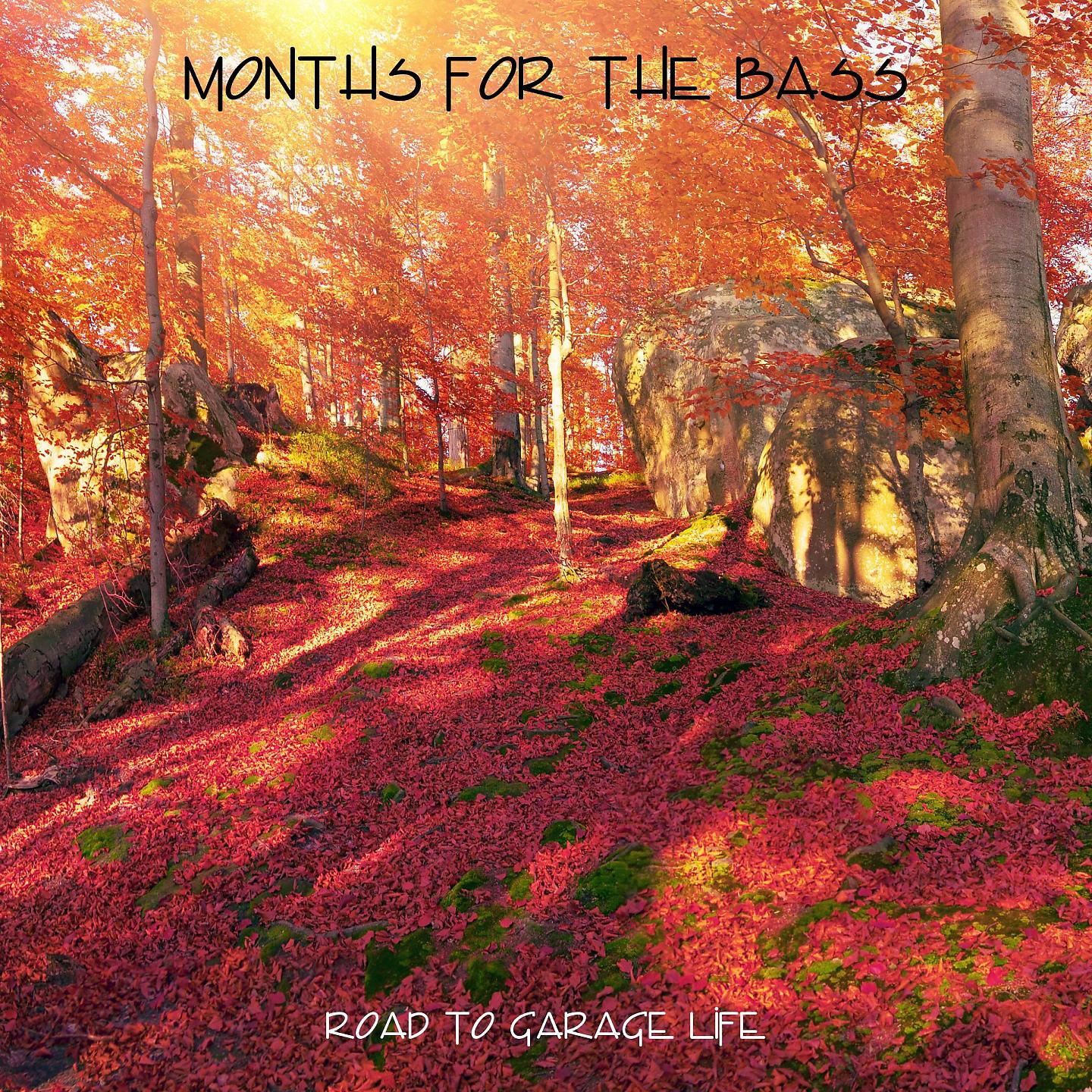 Постер альбома Months For The Bass