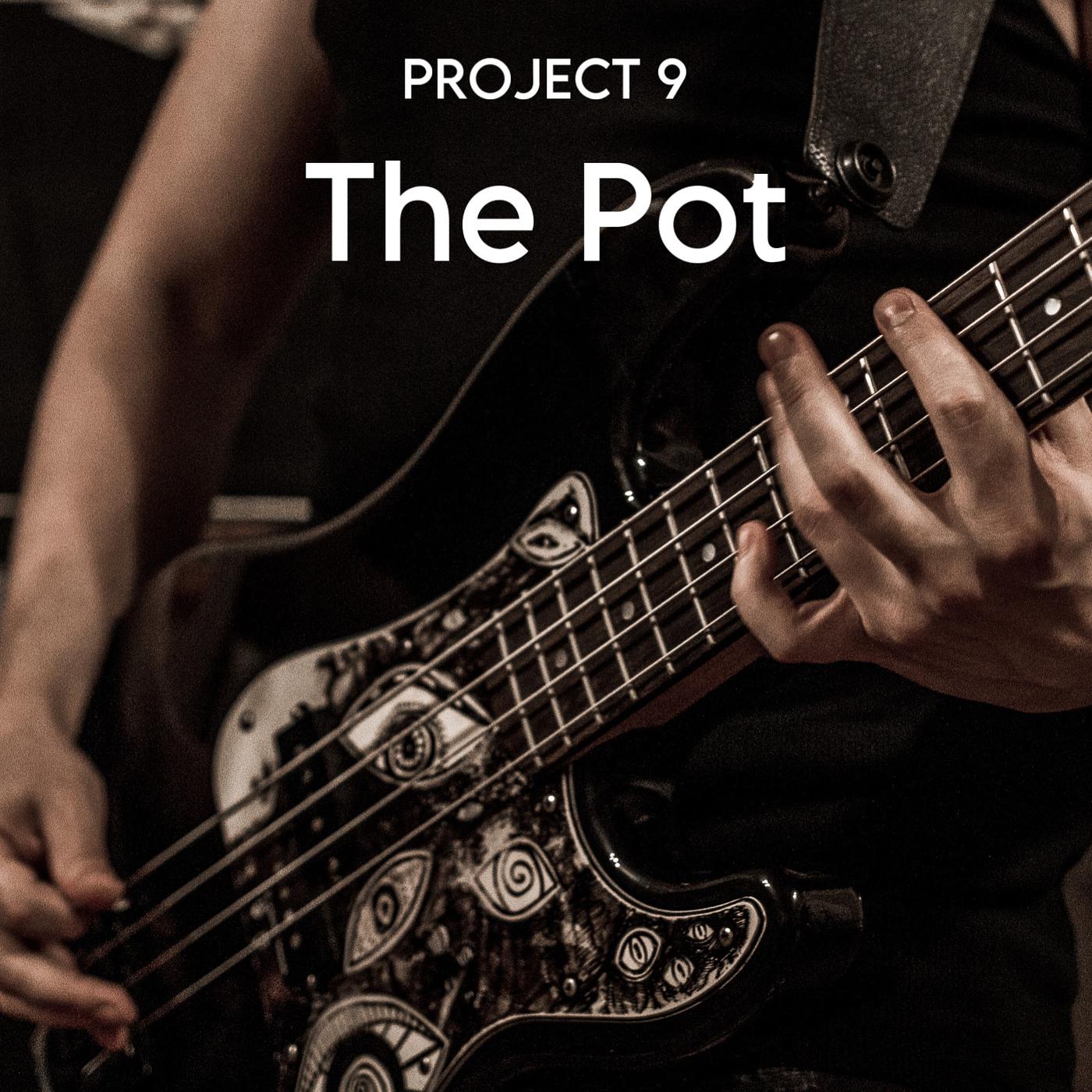 Постер альбома The Pot