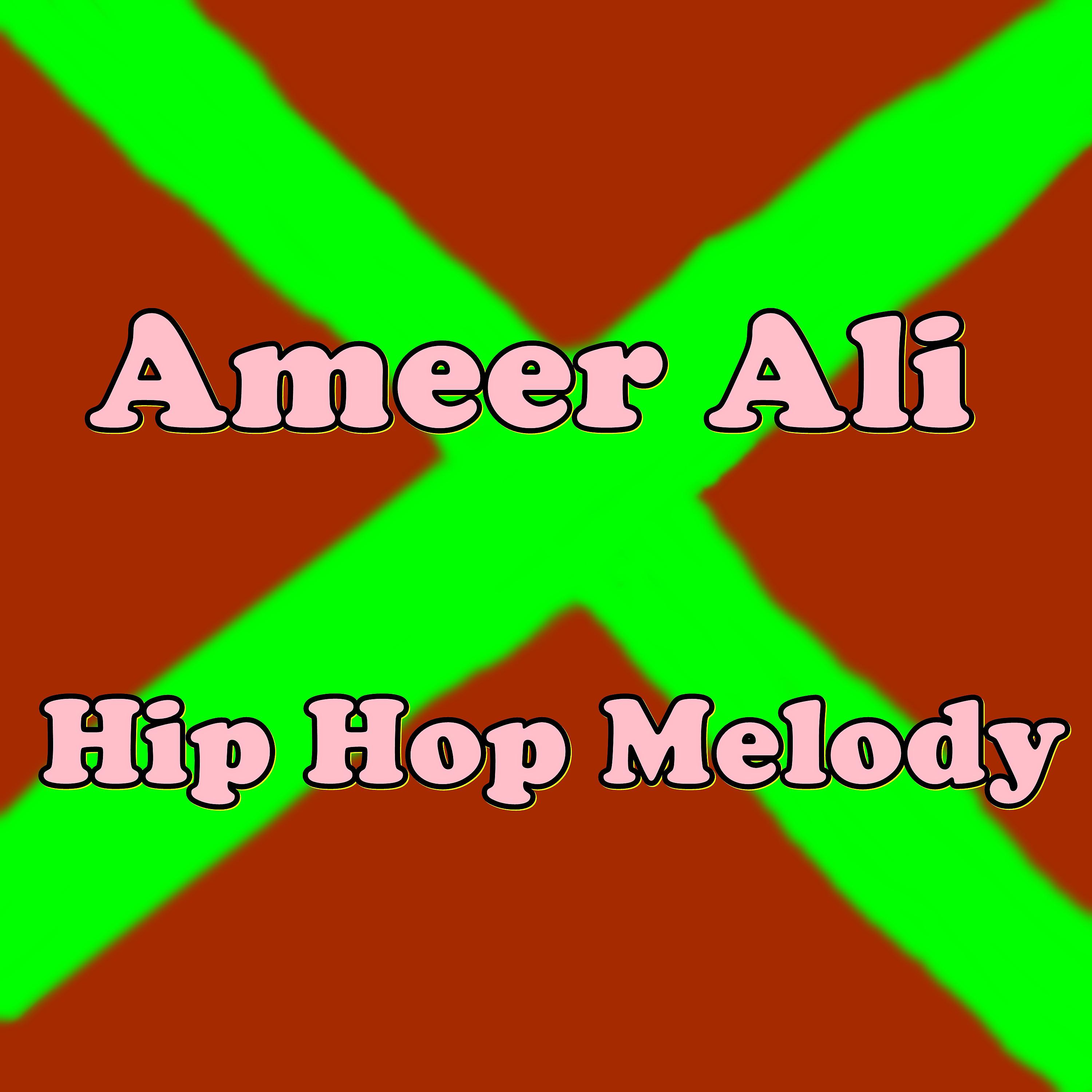 Постер альбома Hip Hop Melody