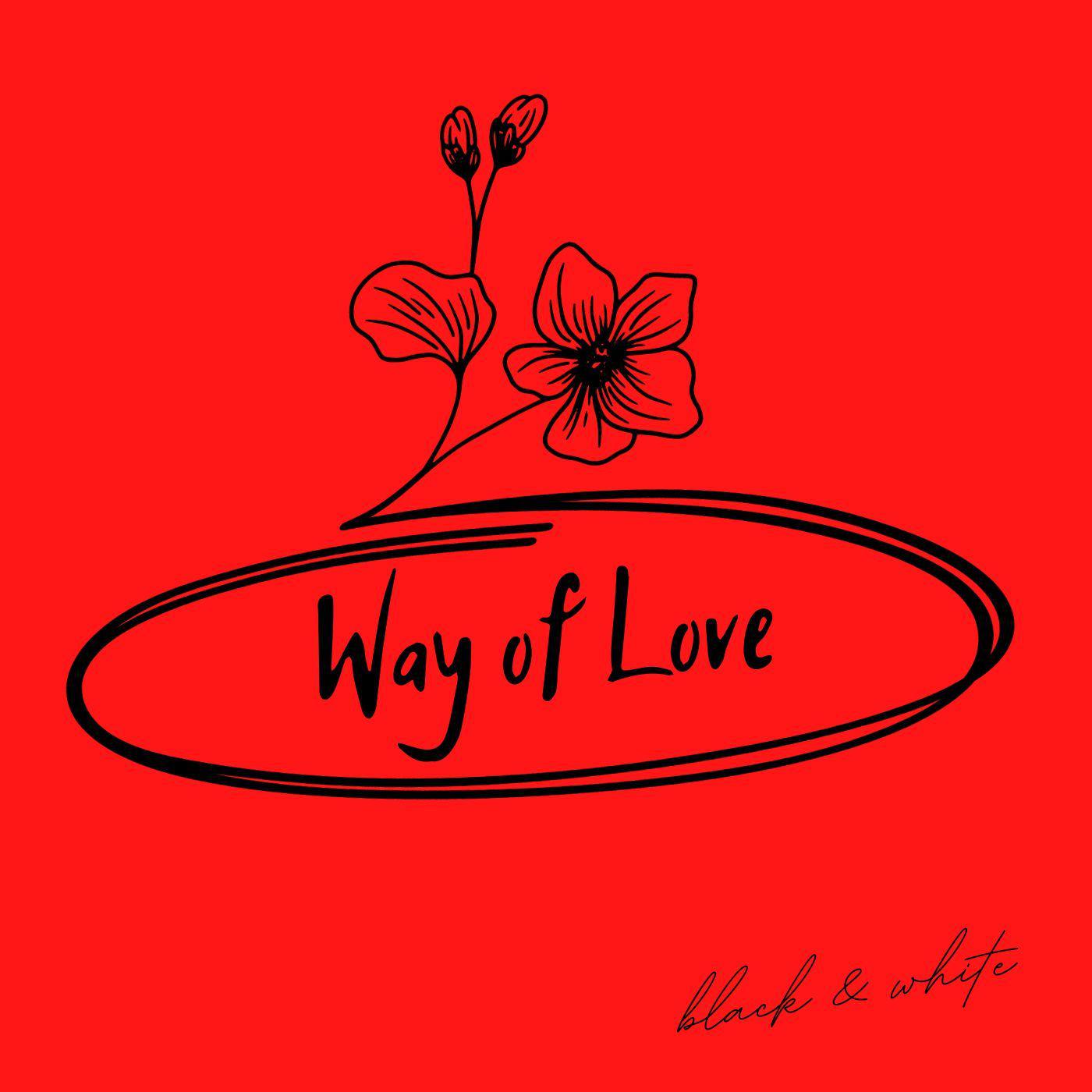 Постер альбома Way of Love