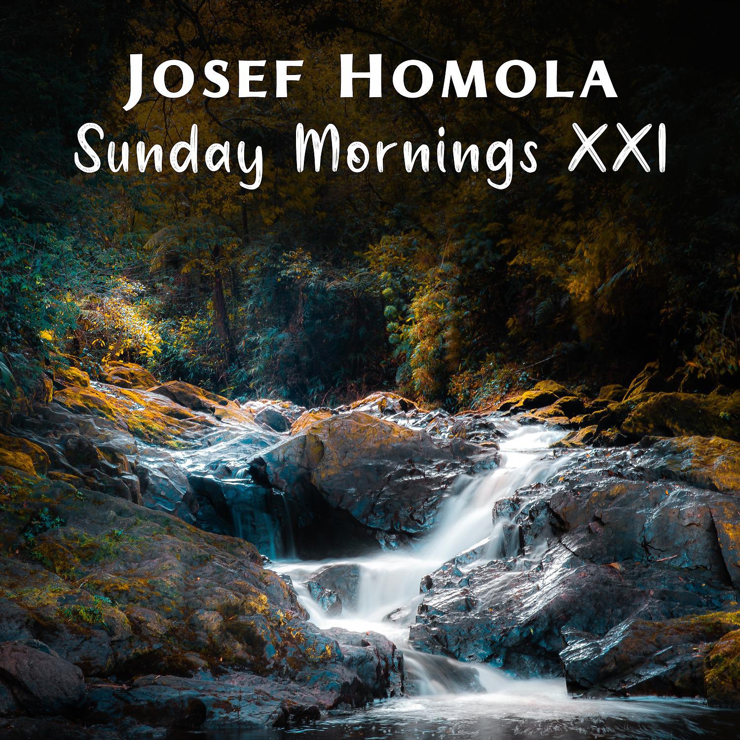 Постер альбома Sunday Mornings XXI