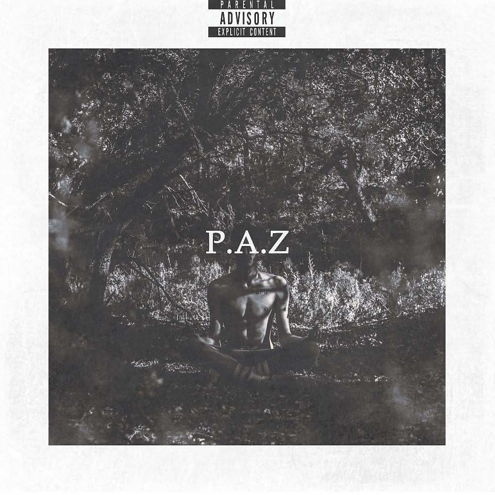 Постер альбома P.A.Z