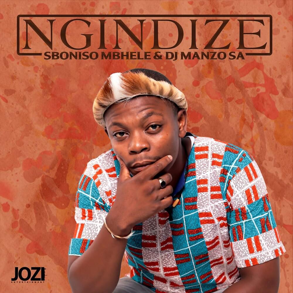 Постер альбома Ngindize