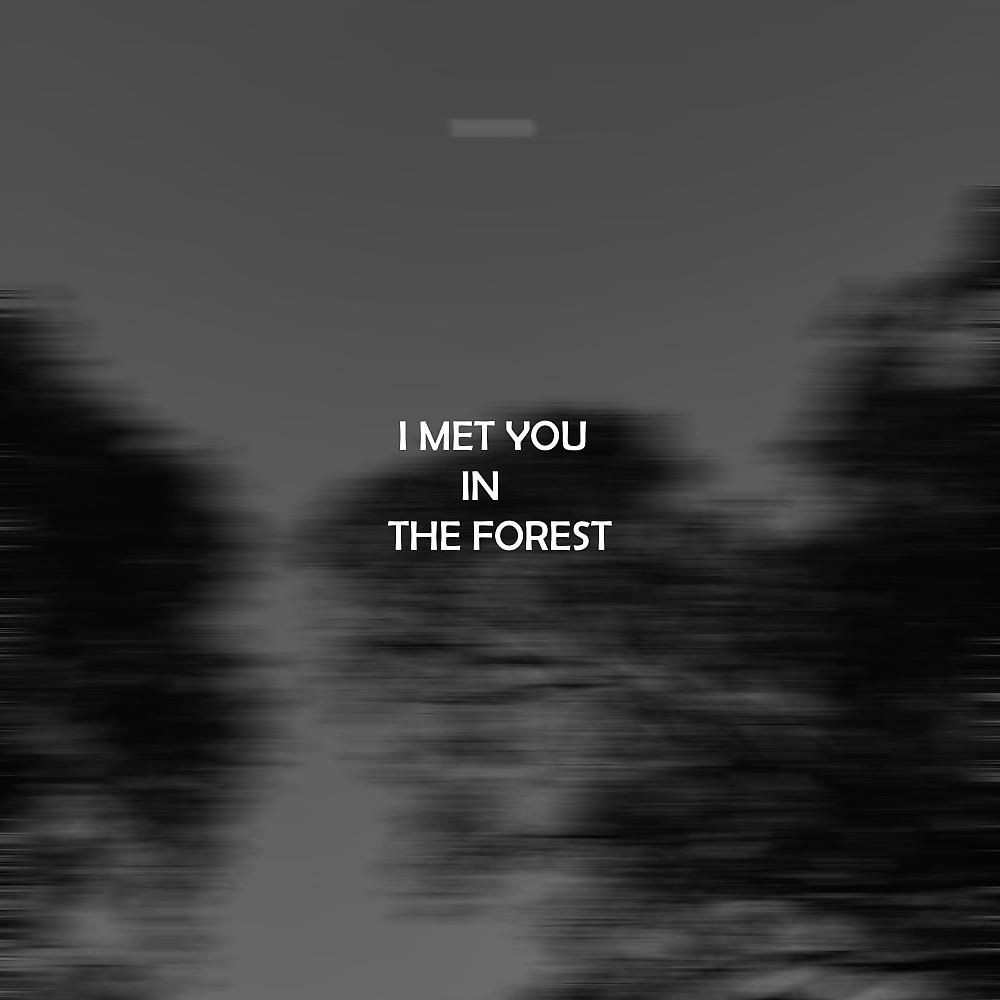 Постер альбома I Met You In The Forest