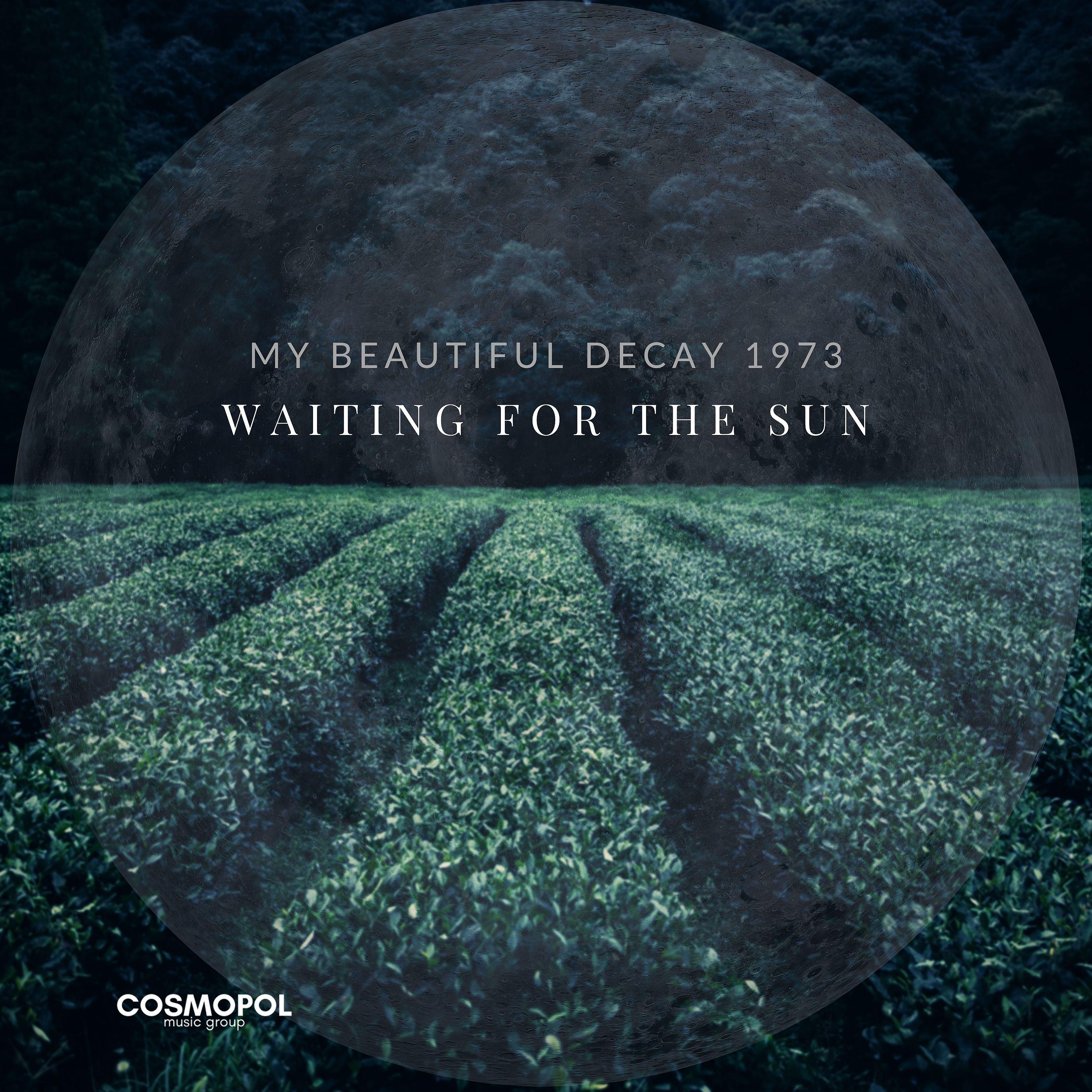 Постер альбома Waiting for the sun