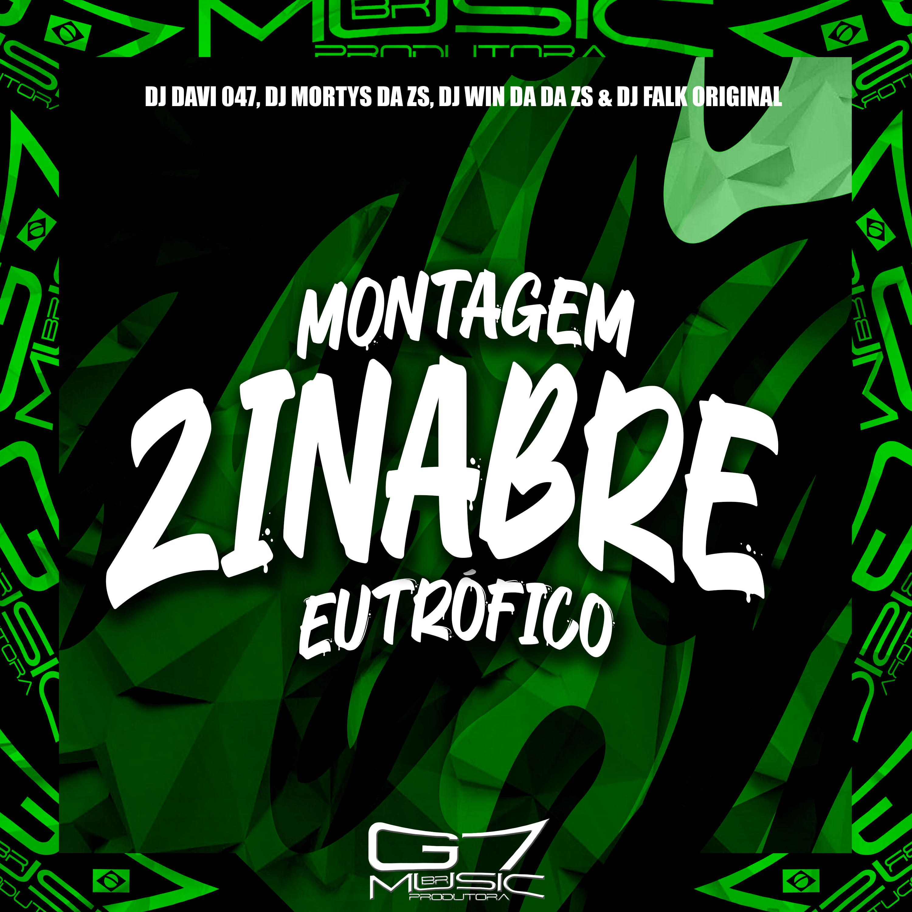 Постер альбома Montagem Zinabre Eutrófico