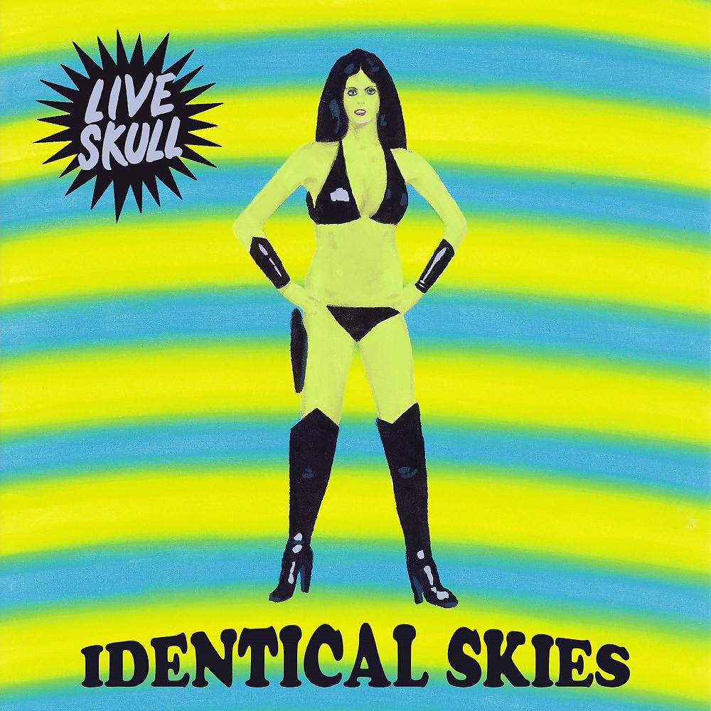 Постер альбома Identical Skies