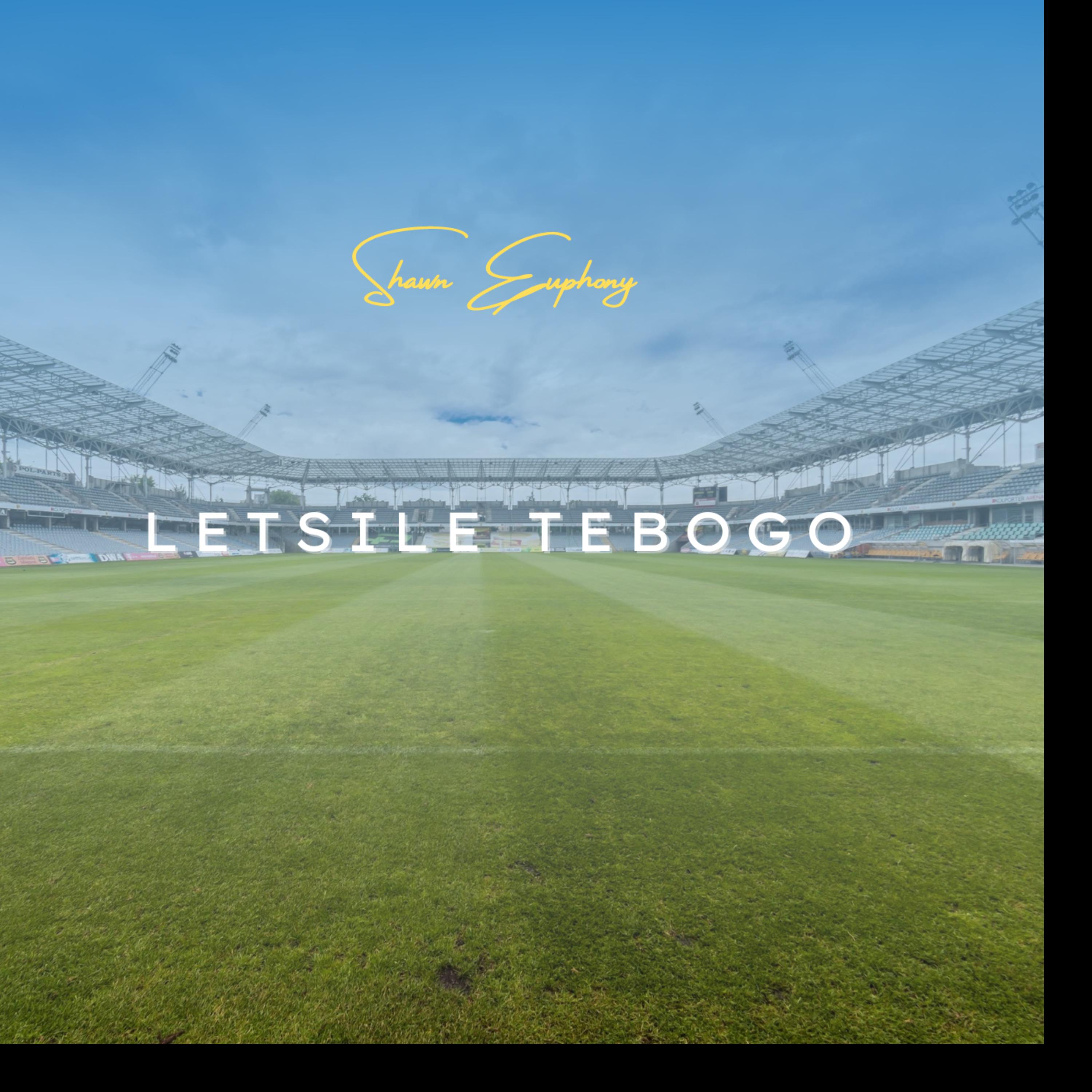 Постер альбома Letsile Tebogo