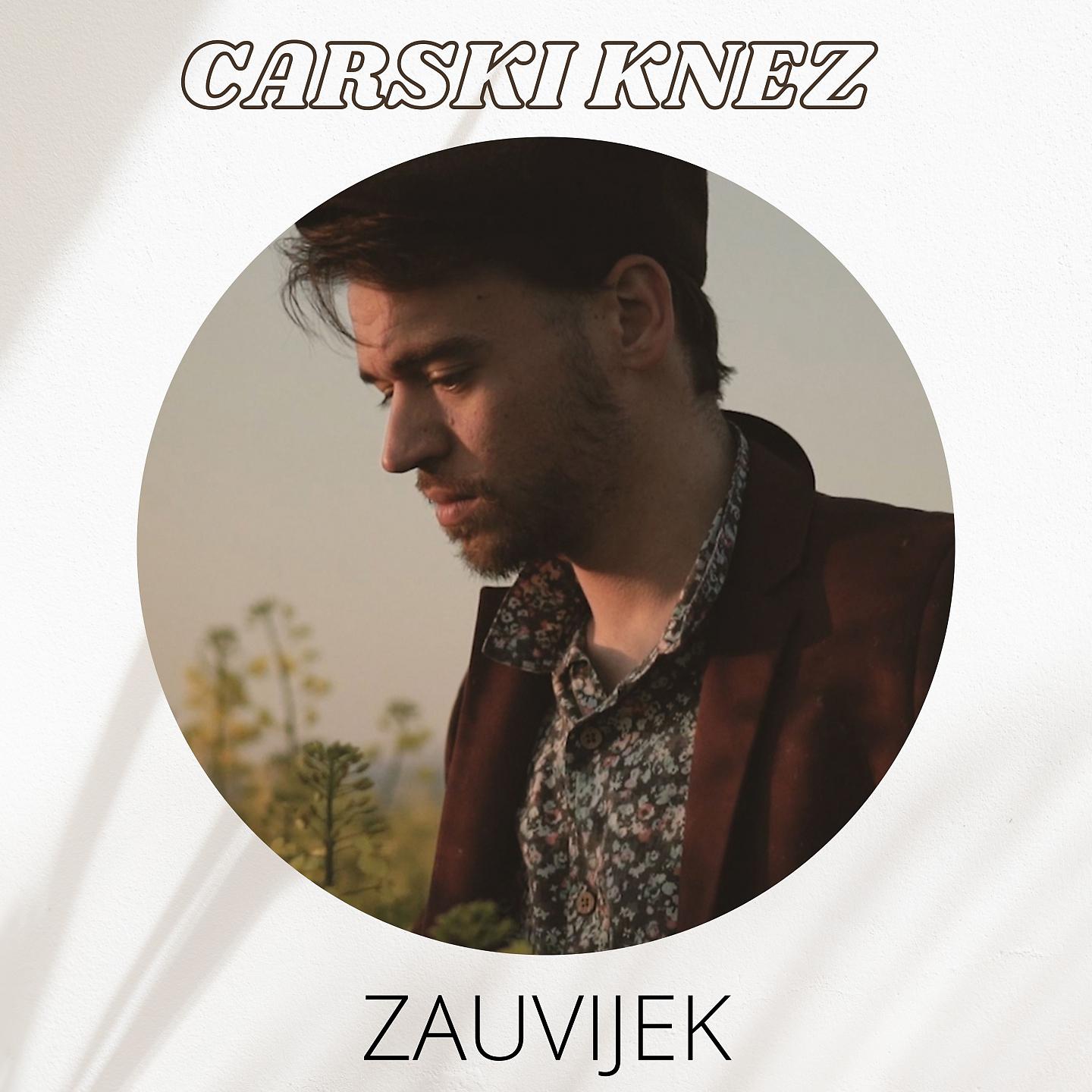 Постер альбома Zauvijek