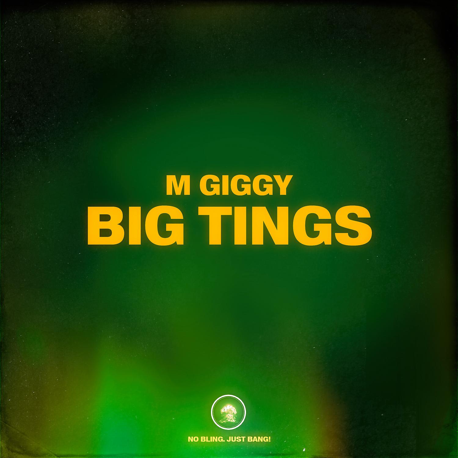 Постер альбома Big Tings