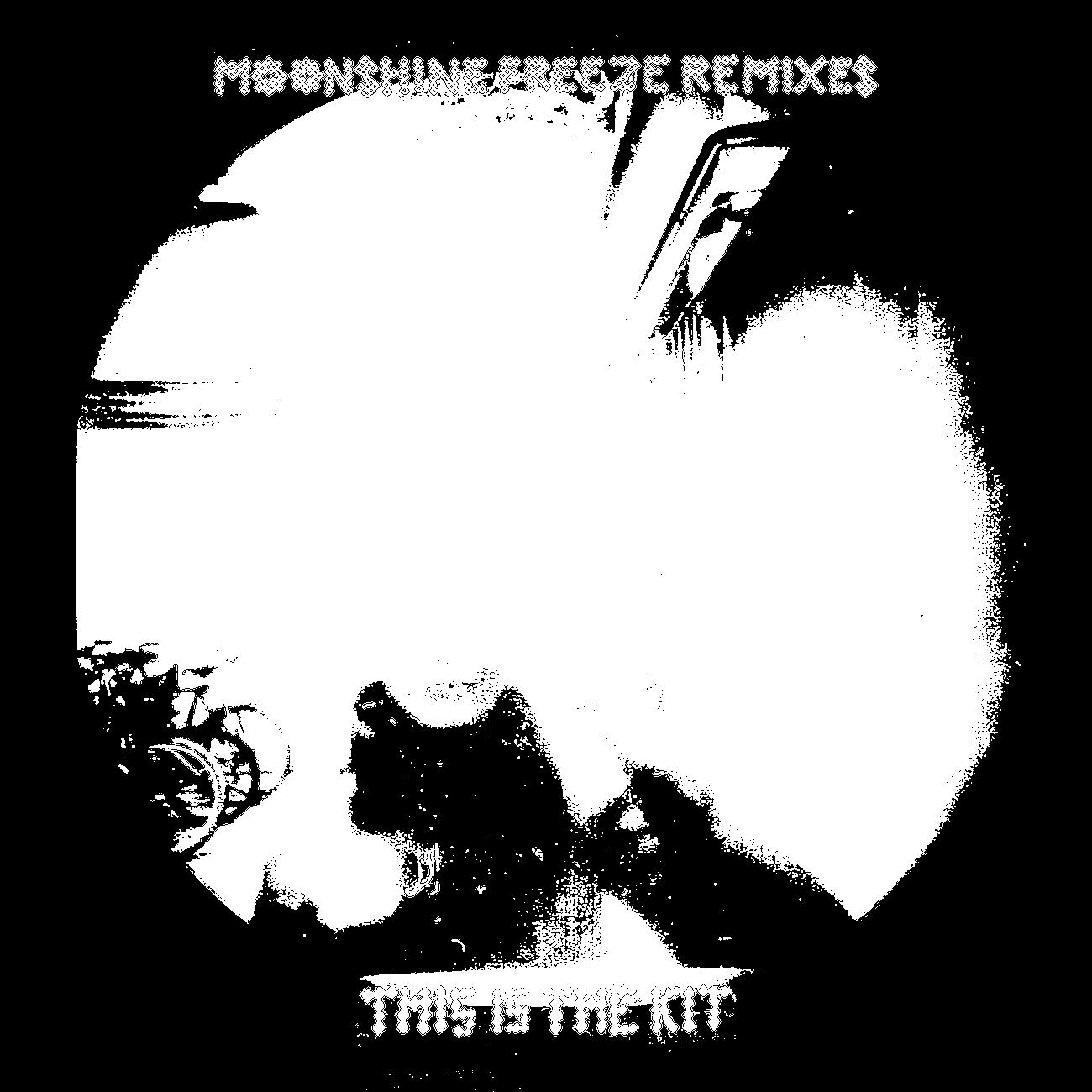 Постер альбома Moonshine Freeze Remixes