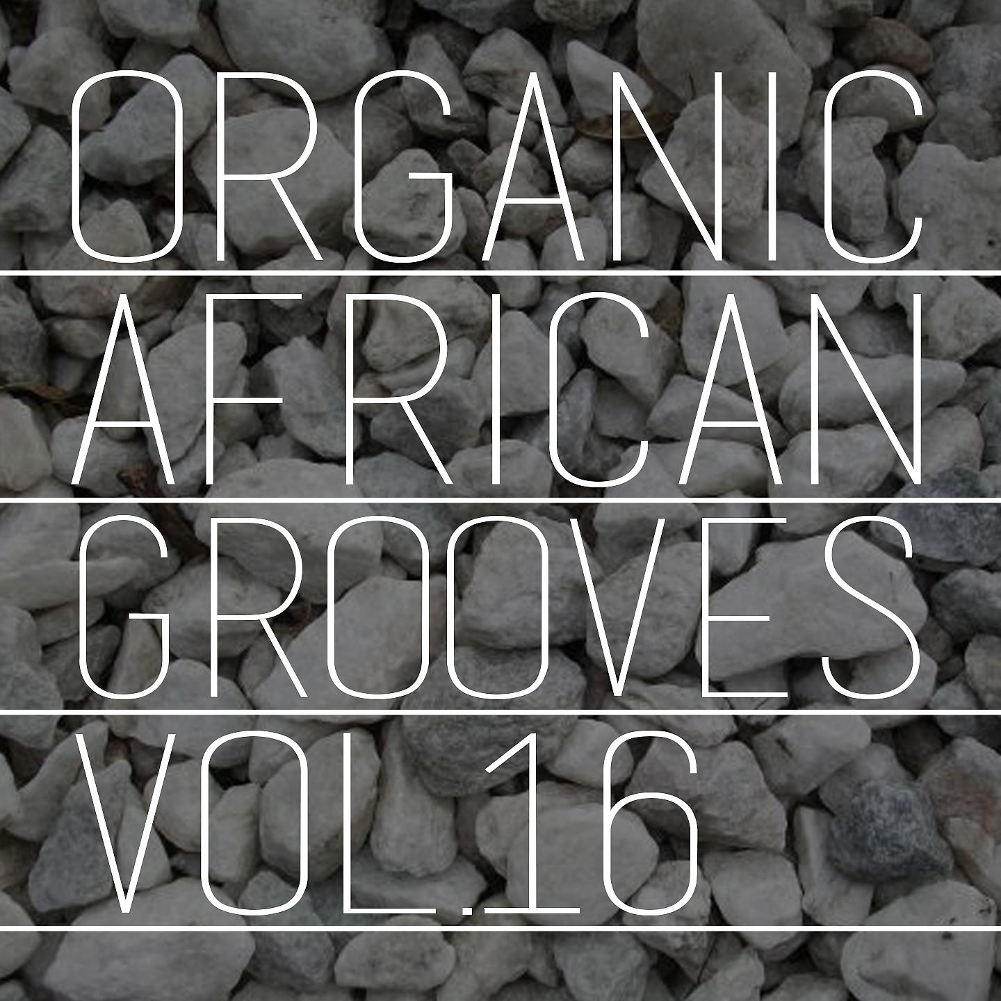 Постер альбома Organic African Grooves, Vol.16