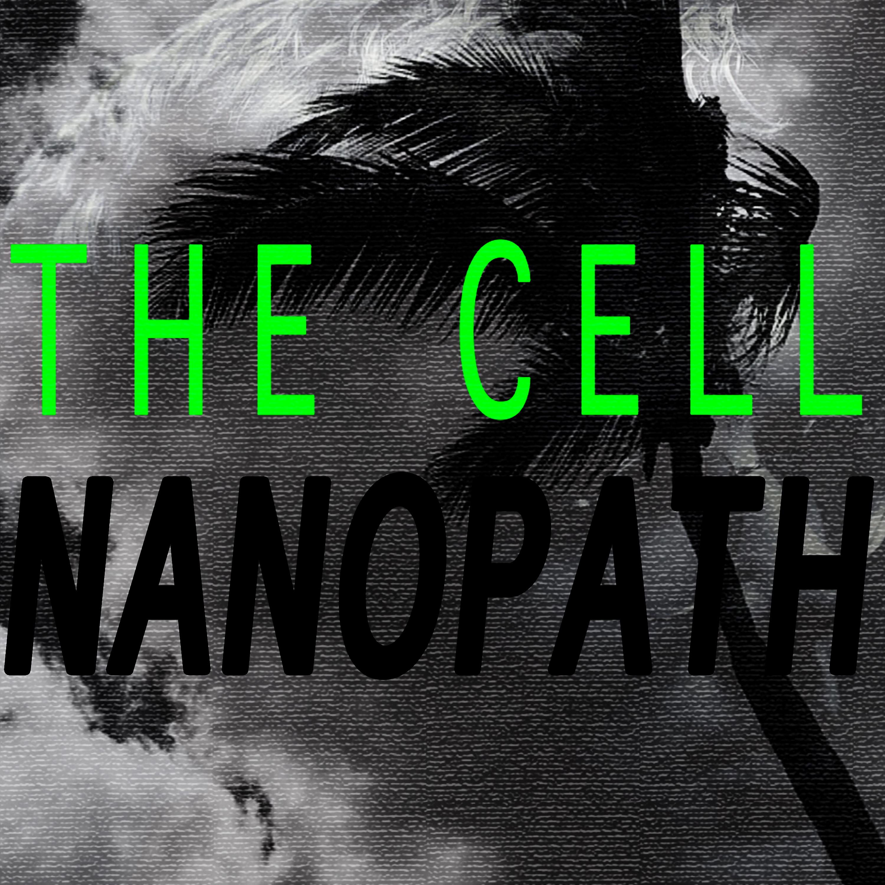 Постер альбома Nanopath