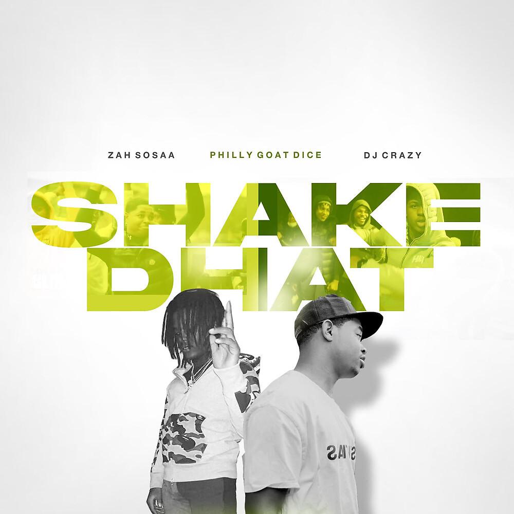 Постер альбома Shake Dhat