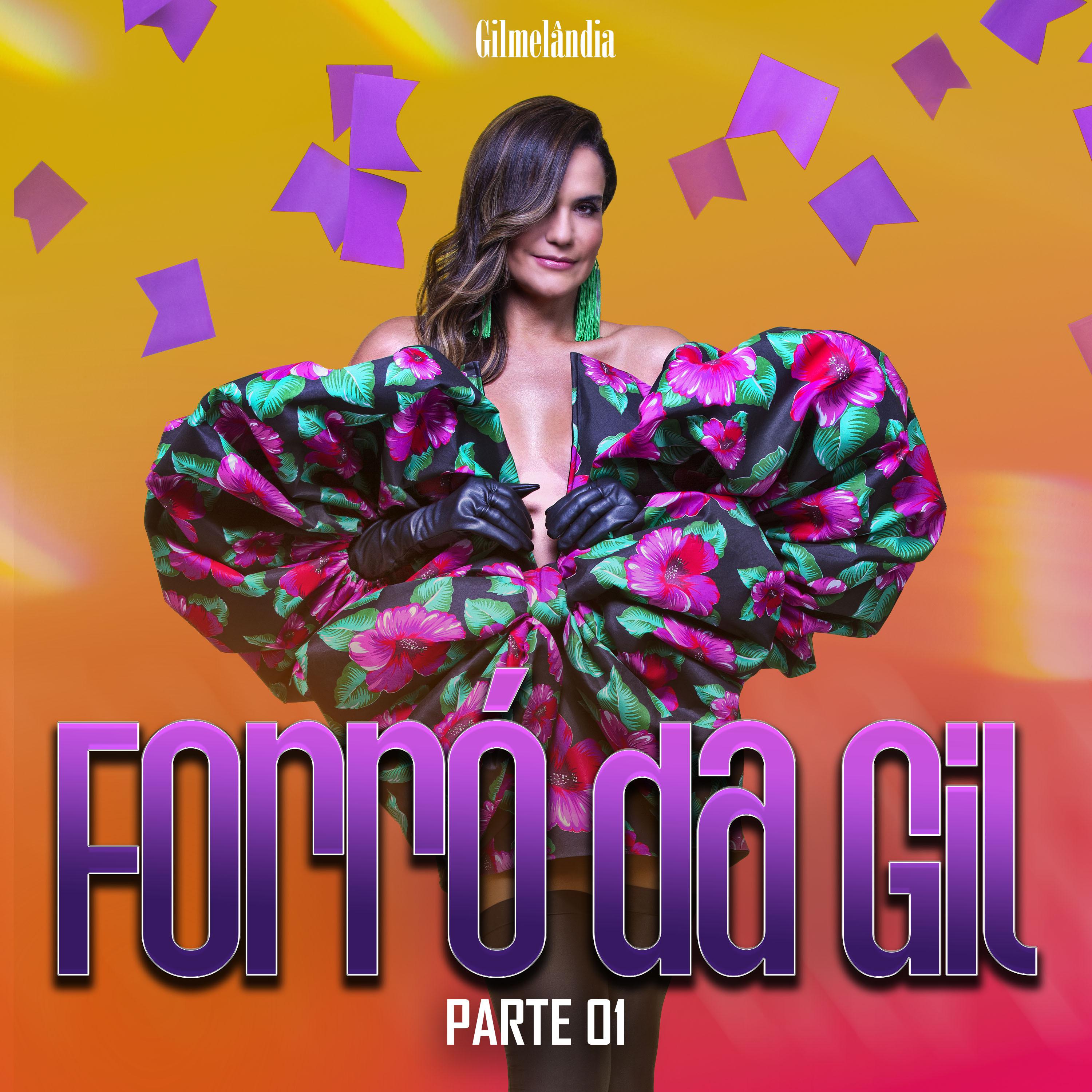 Постер альбома Forró da Gil - Parte 01