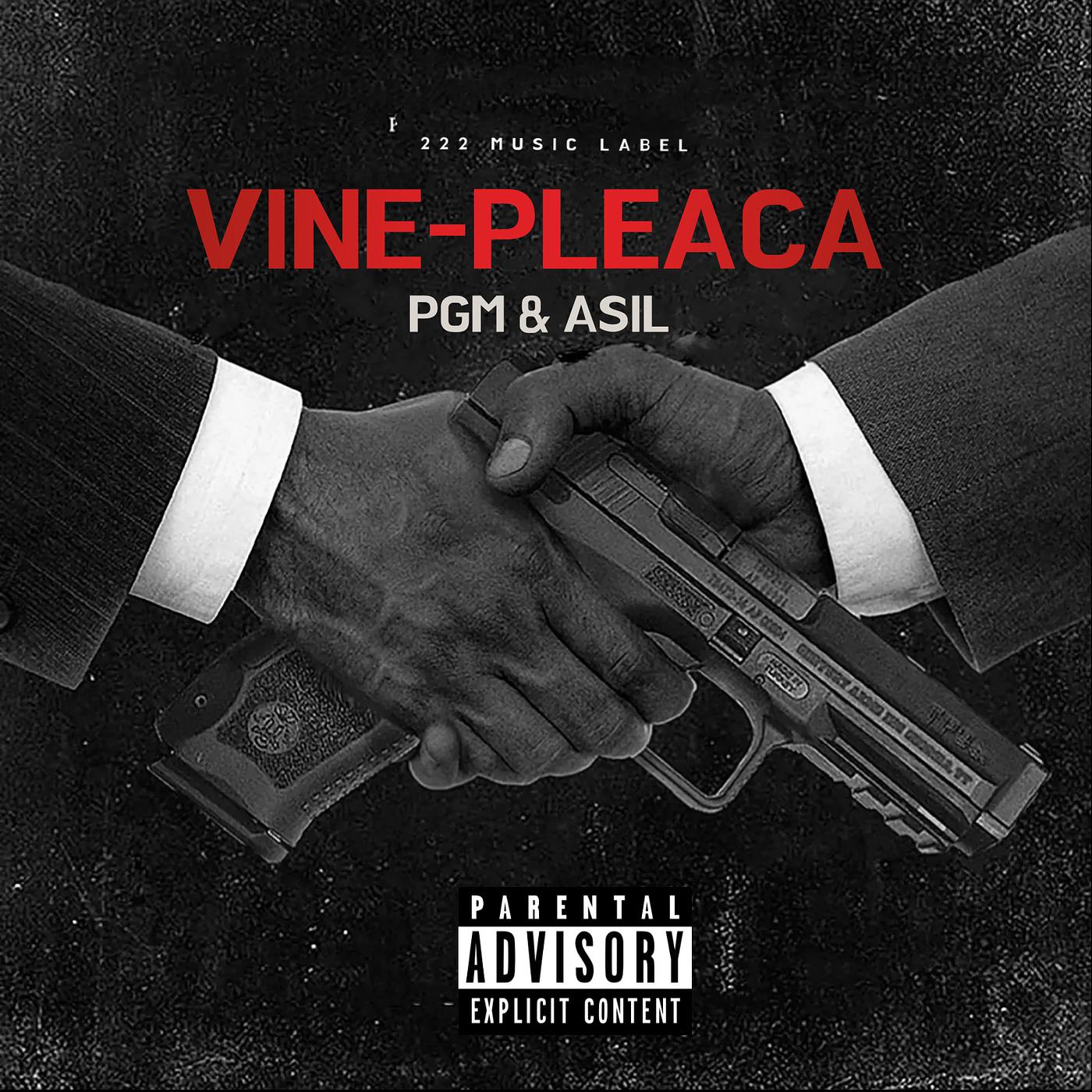 Постер альбома Vine-Pleaca