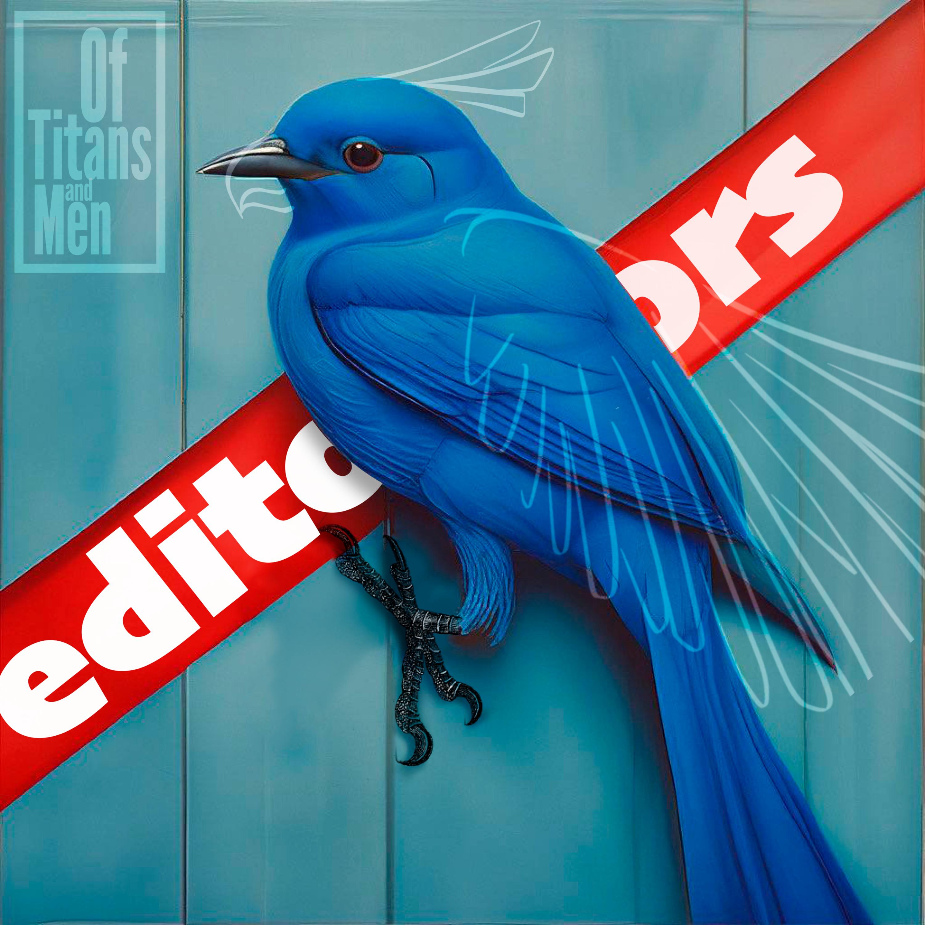 Постер альбома Editors