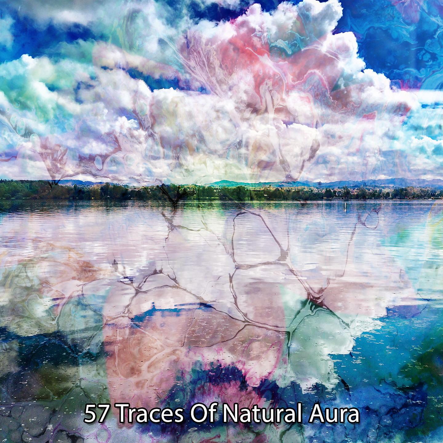 Постер альбома 57 следов естественной ауры