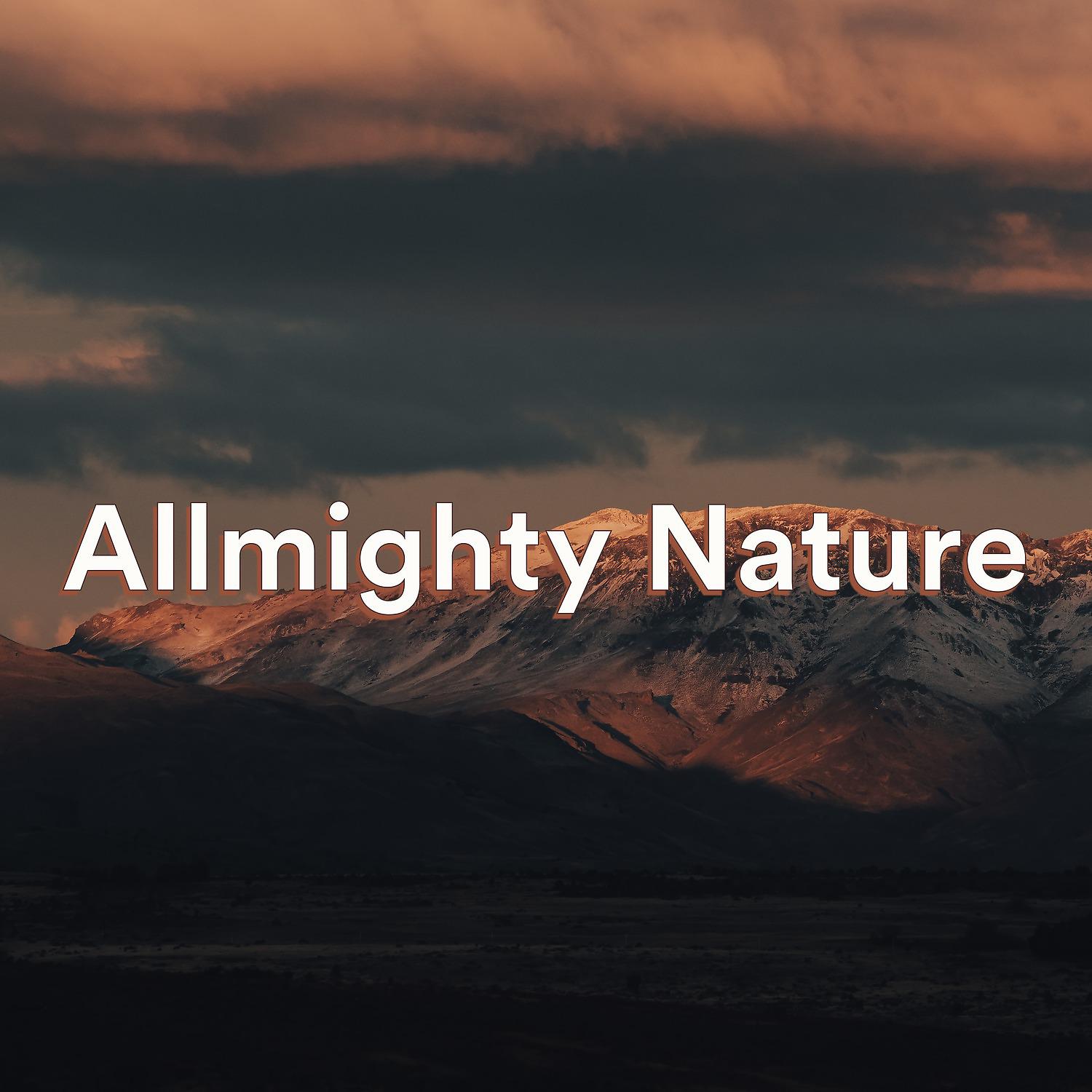 Постер альбома Allmighty Nature