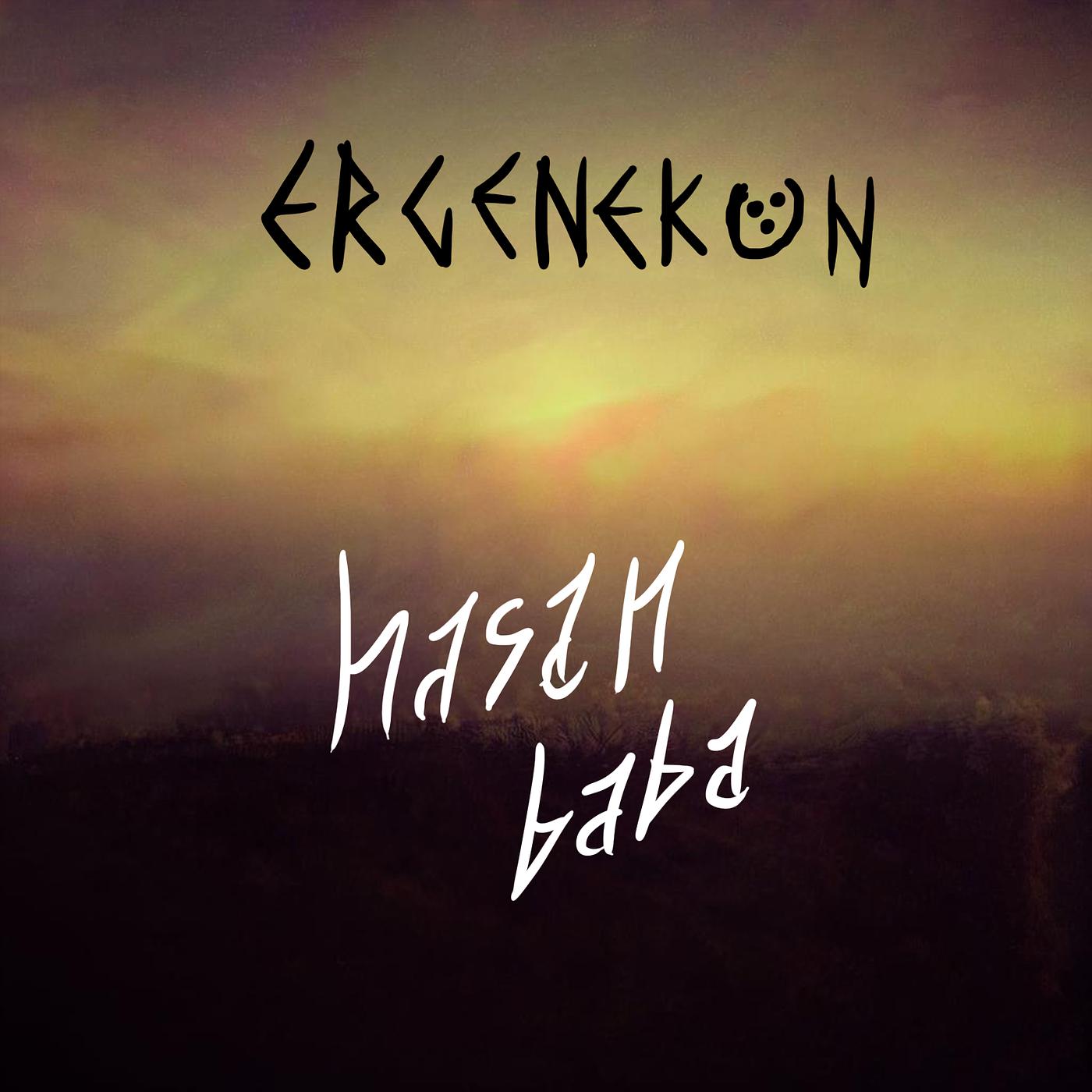 Постер альбома Ergenekon
