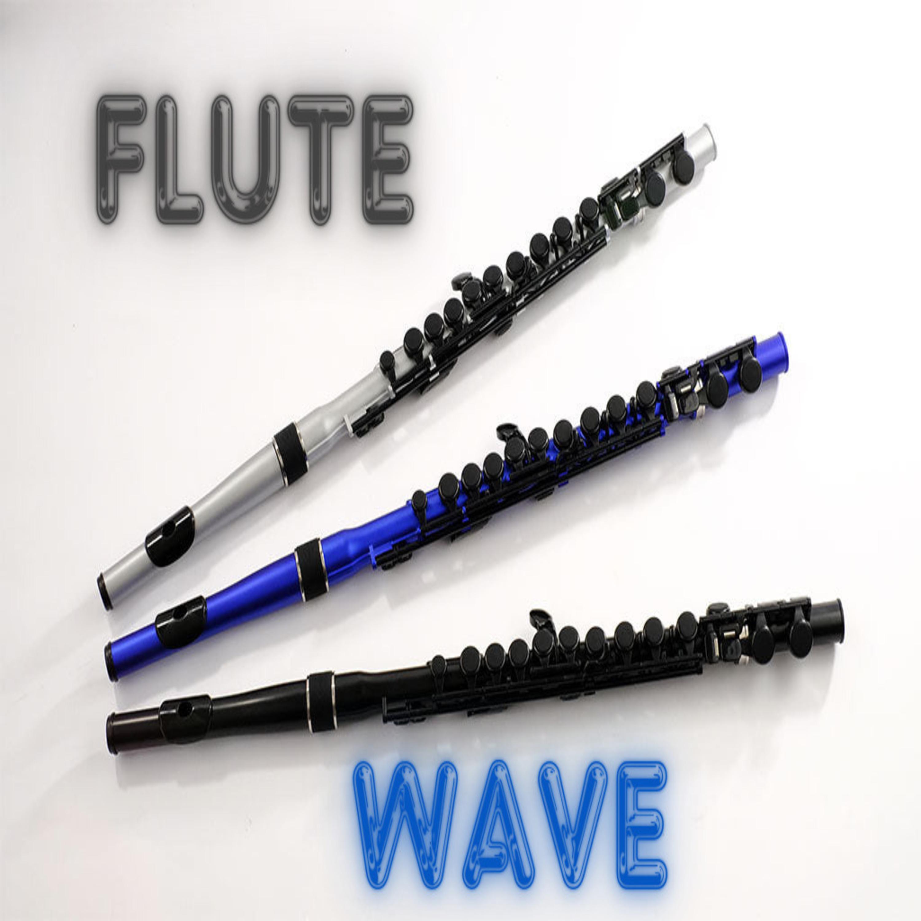 Постер альбома Flute Wave