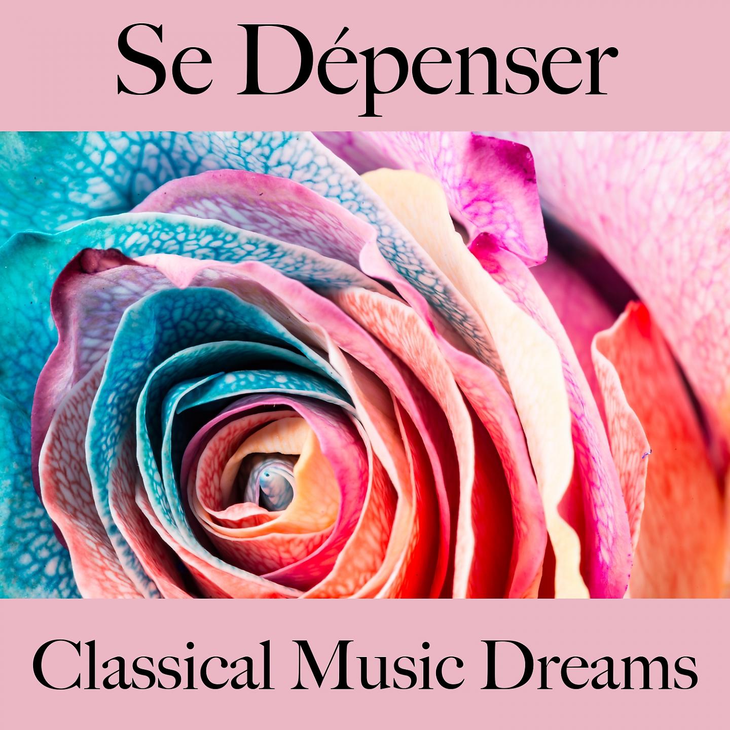 Постер альбома Se Dépenser: Classical Music Dreams - Les Meilleurs Sons Pour L'Entraînement
