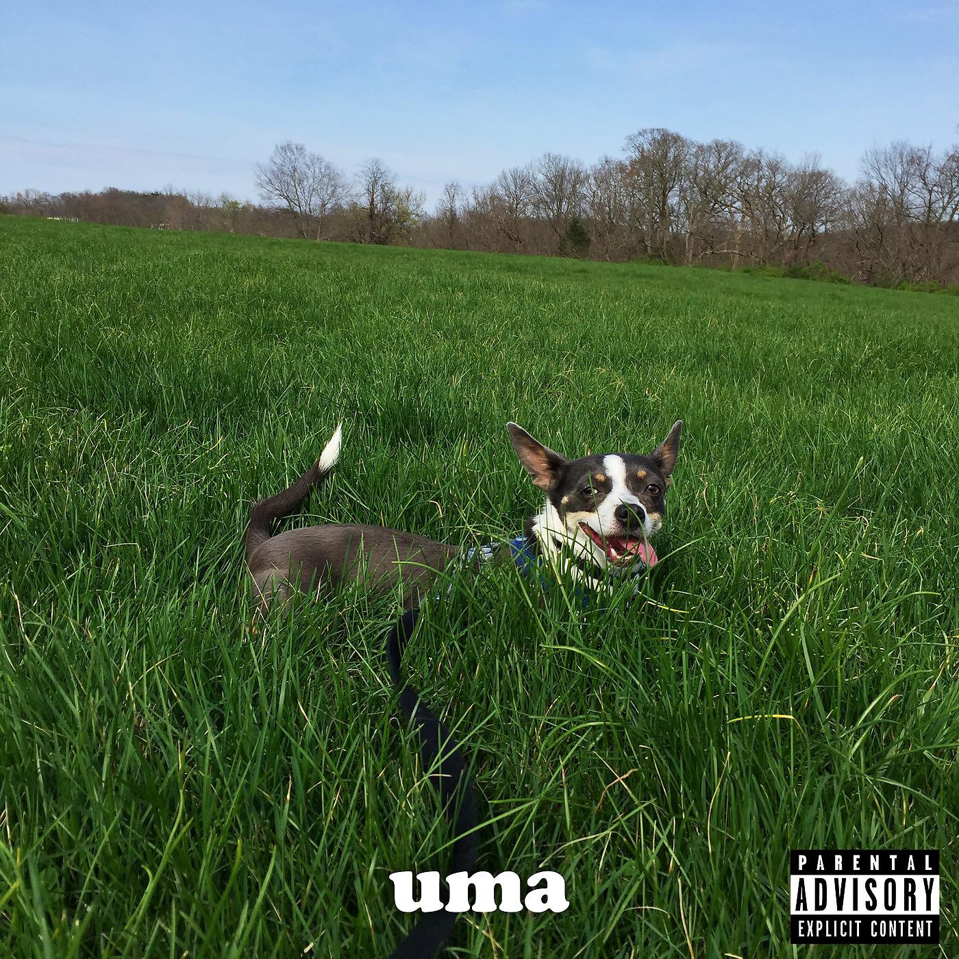 Постер альбома Uma