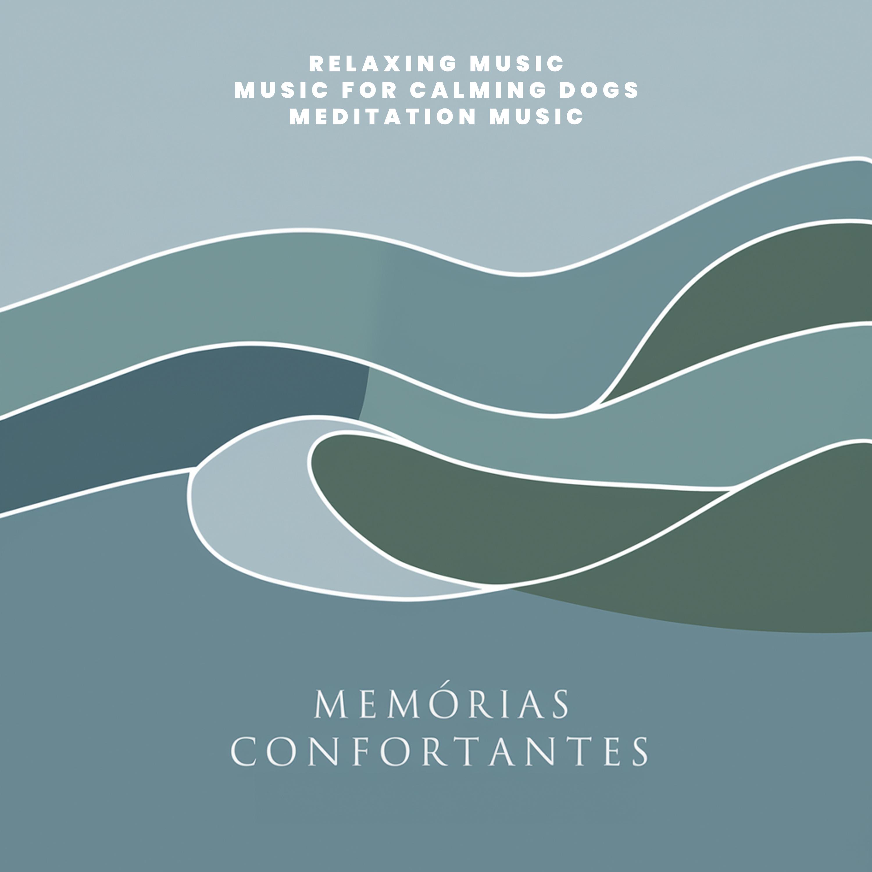 Постер альбома Memórias Confortantes