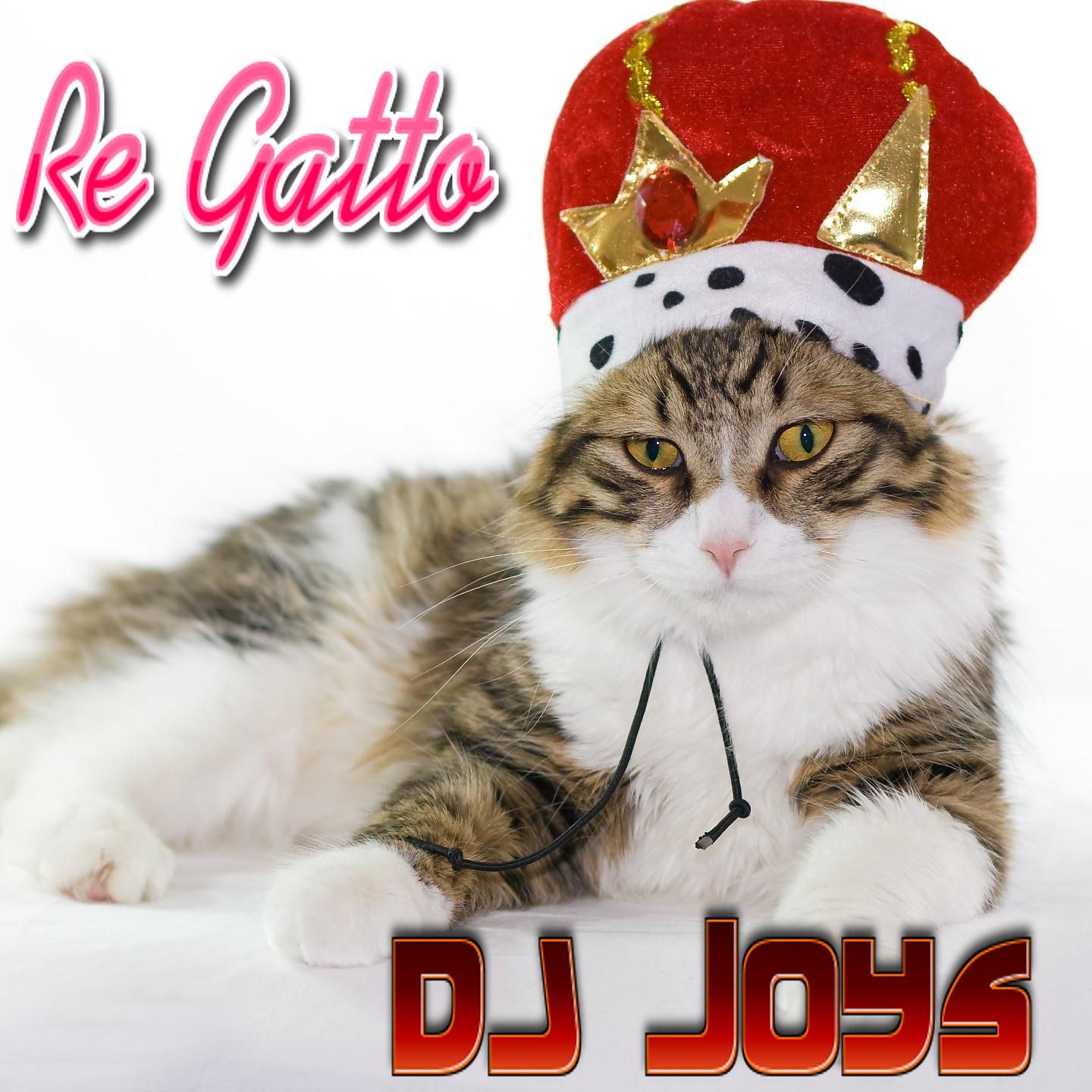 Постер альбома Re gatto