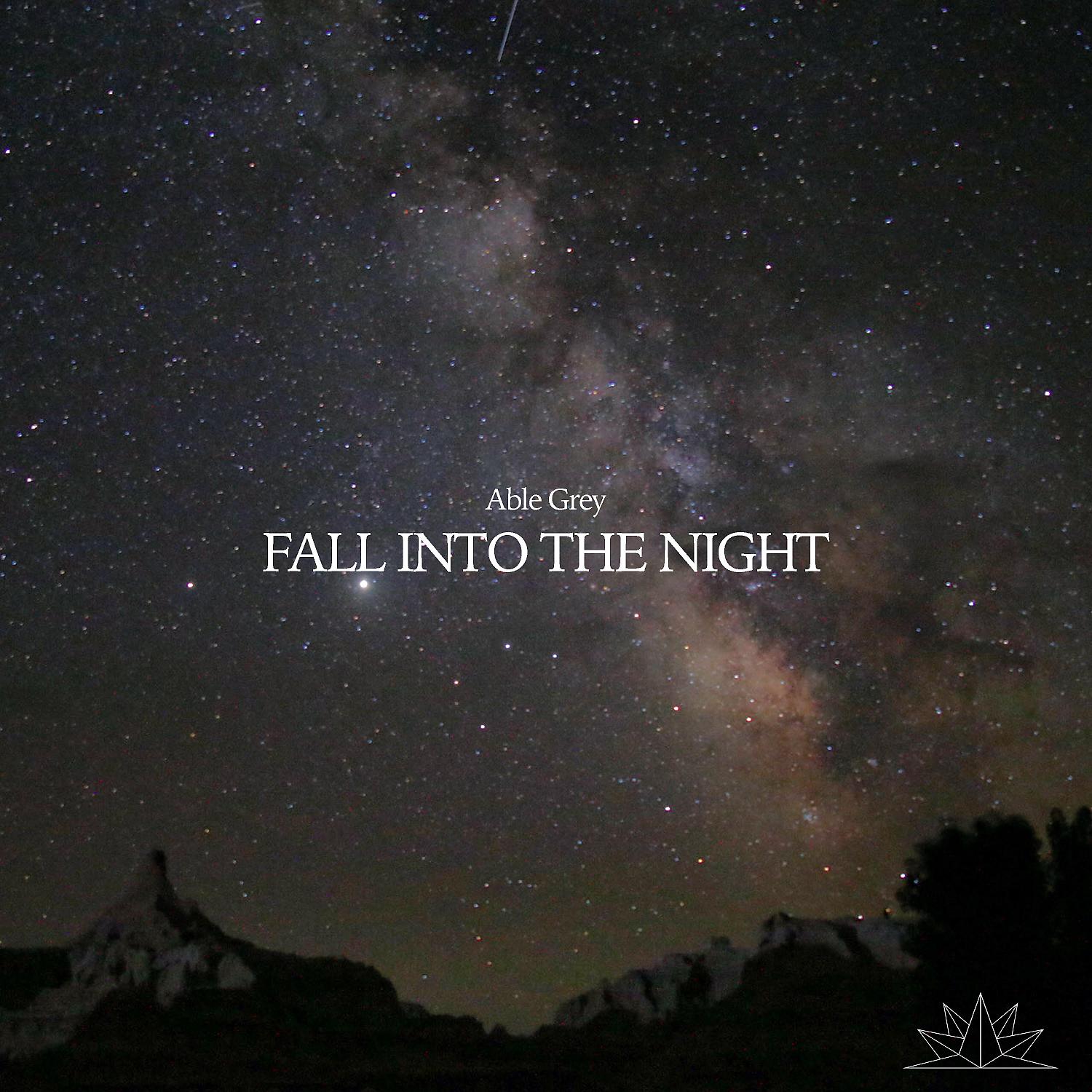 Постер альбома Fall Into The Night