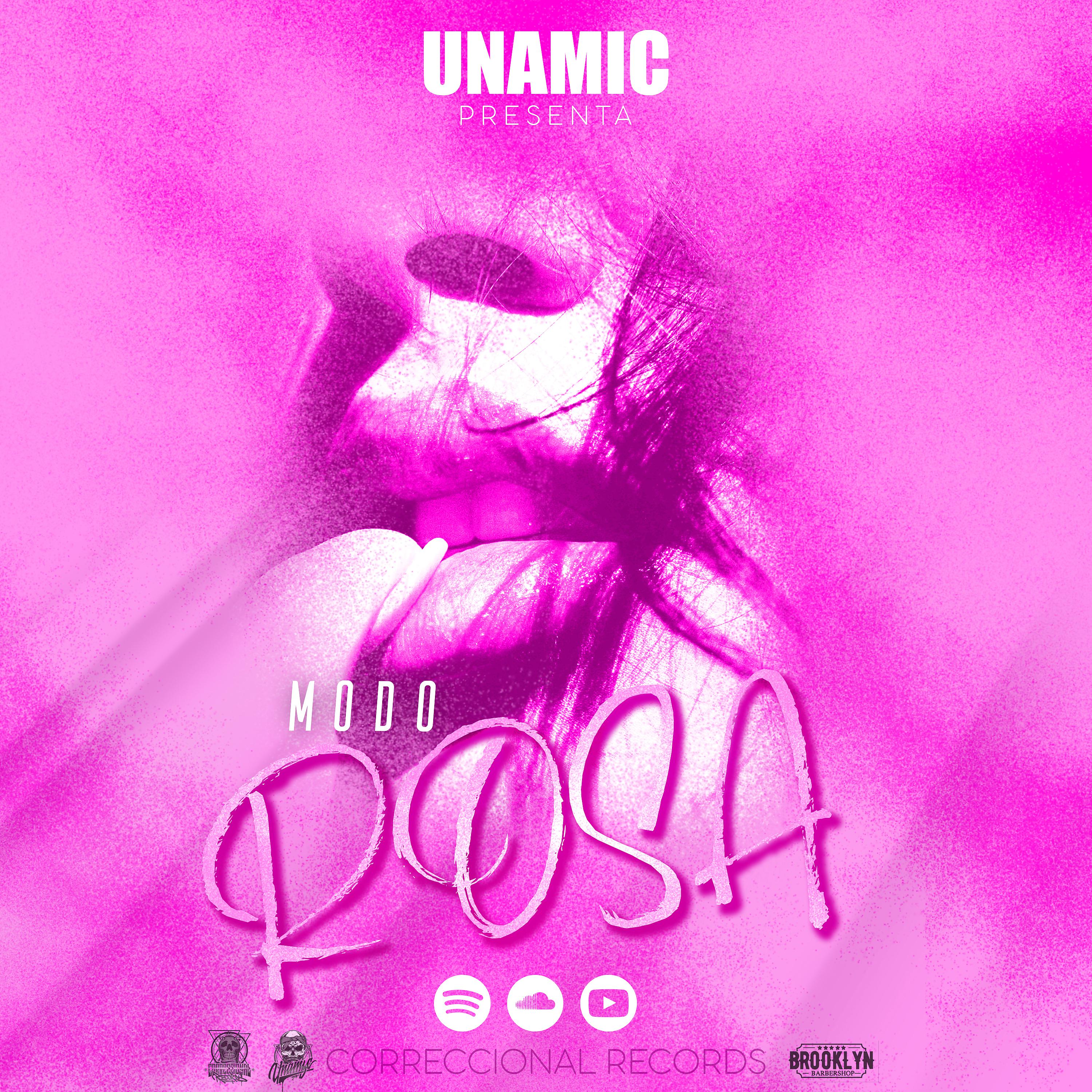 Постер альбома Modo Rosa