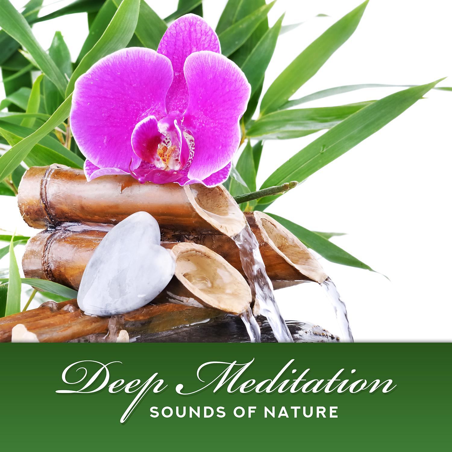 Постер альбома Deep Meditation: Sounds of Nature, Relaxation, Morning Yoga, Spa, Sleep, Study