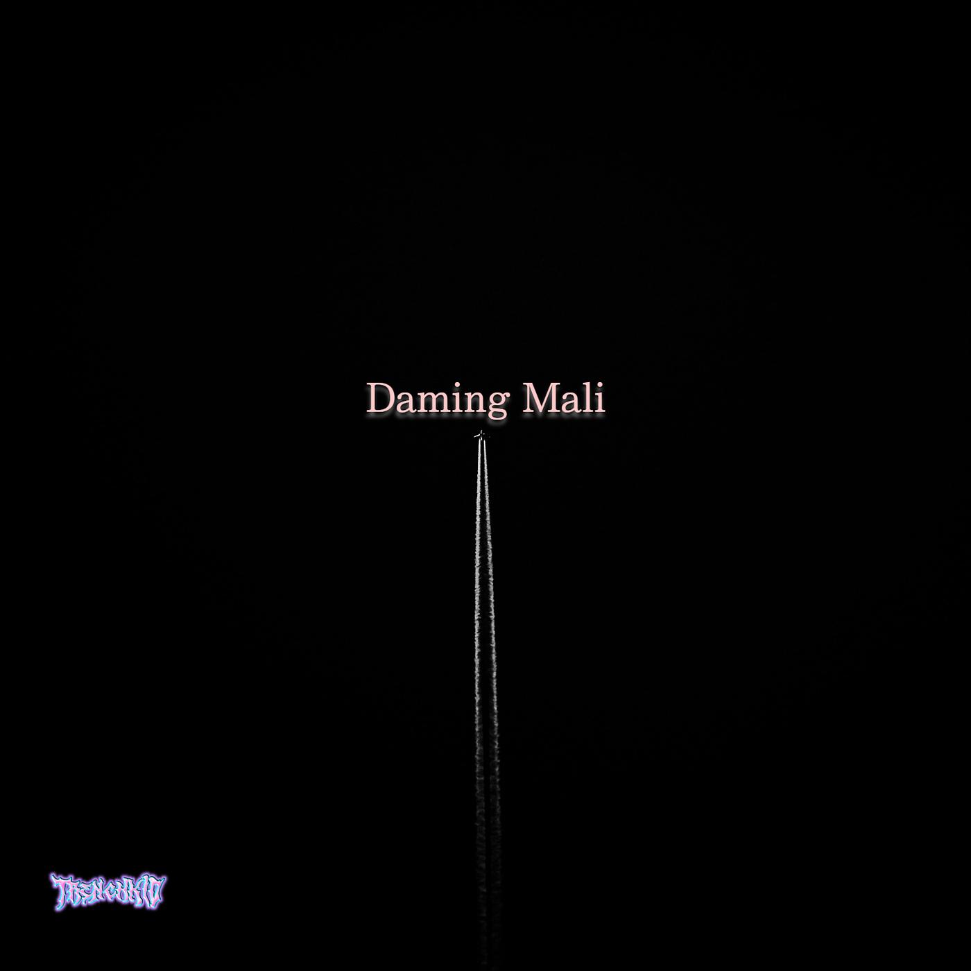 Постер альбома Daming Mali