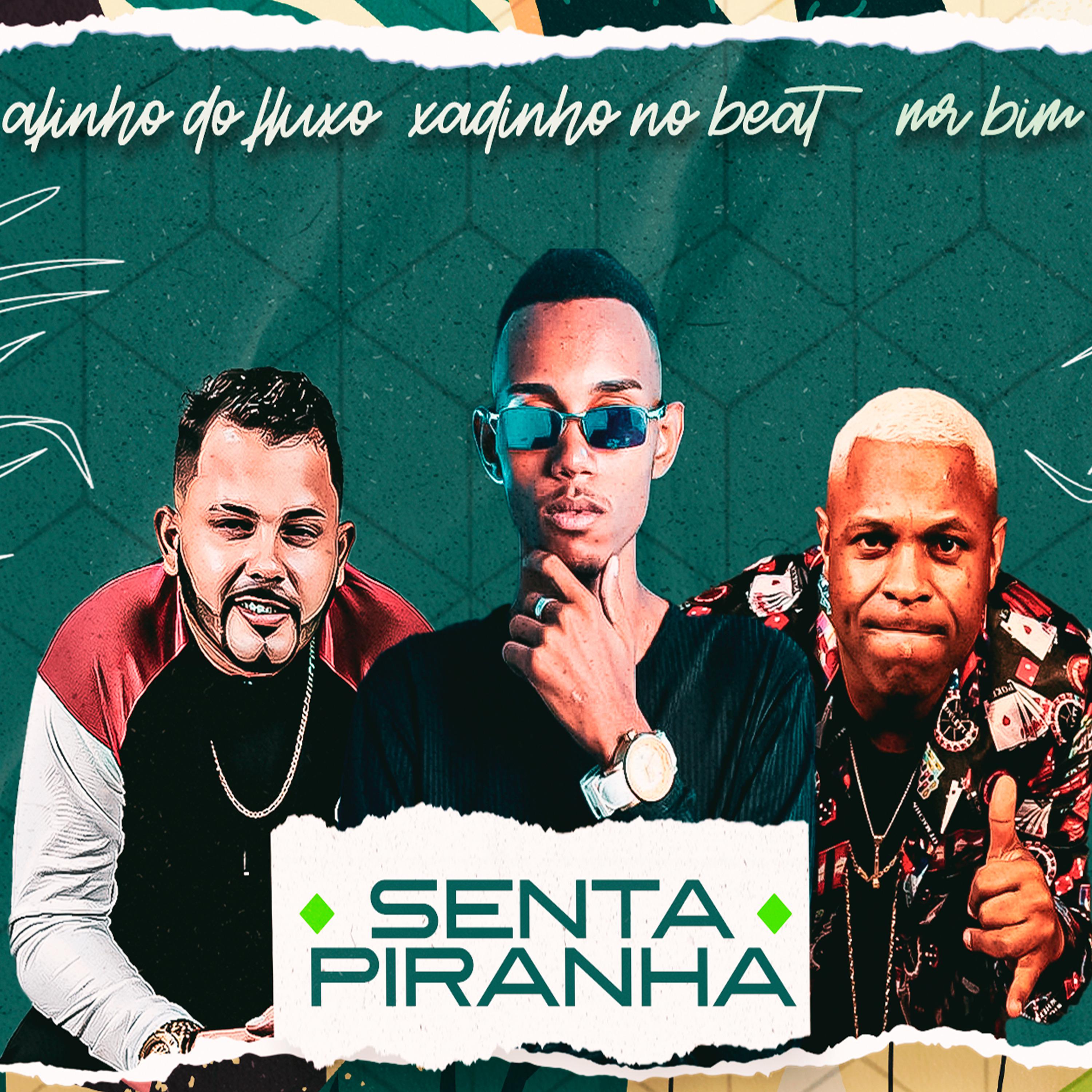 Постер альбома Senta Piranha