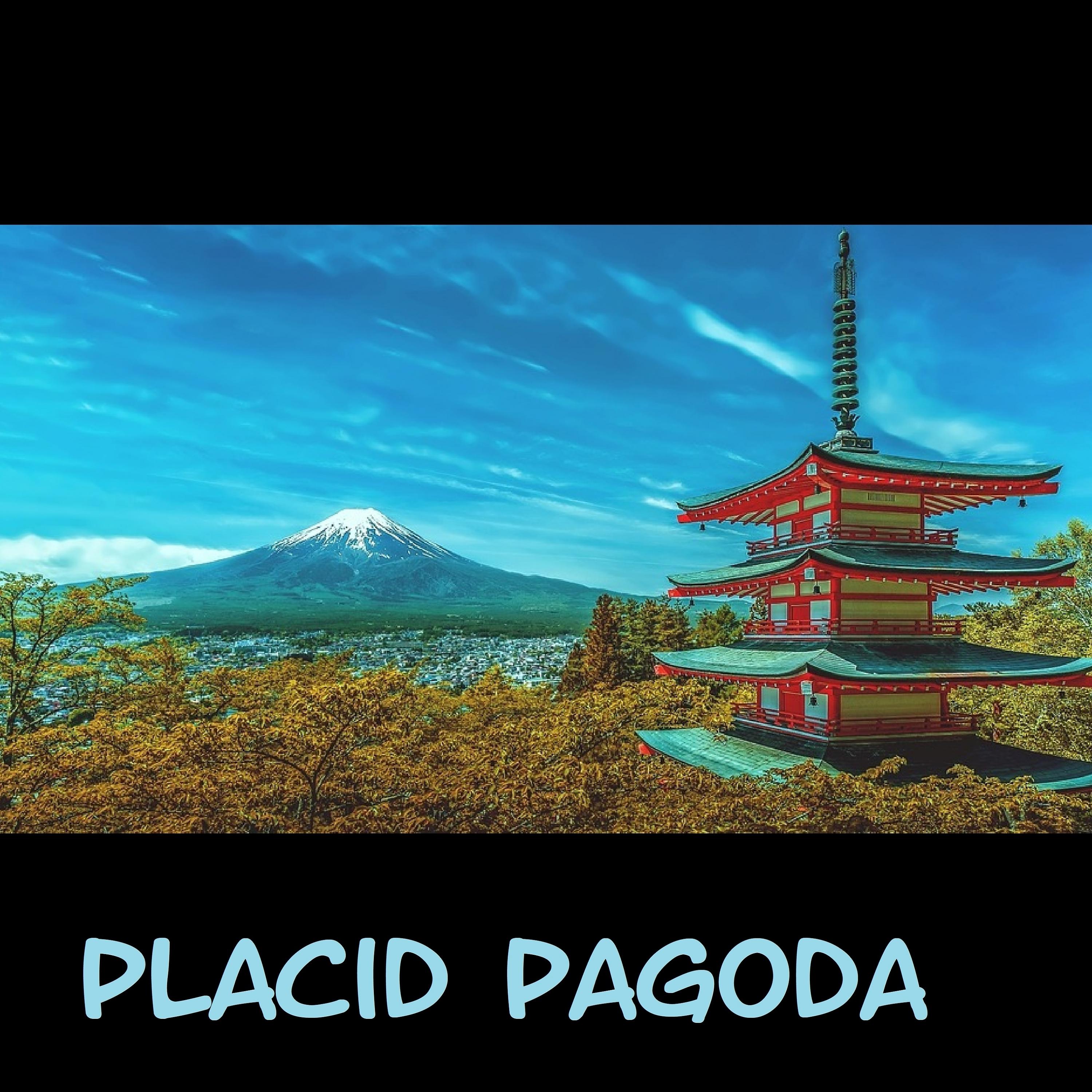 Постер альбома Placid Pagoda