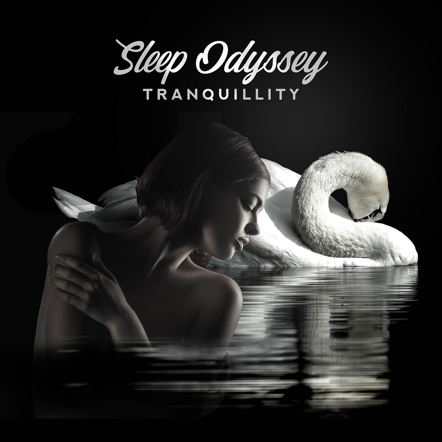 Постер альбома Sleep Odyssey Tranquillity - Zen Relaxation, Serenity for Comfortable Nights, Meditation Music Therapy