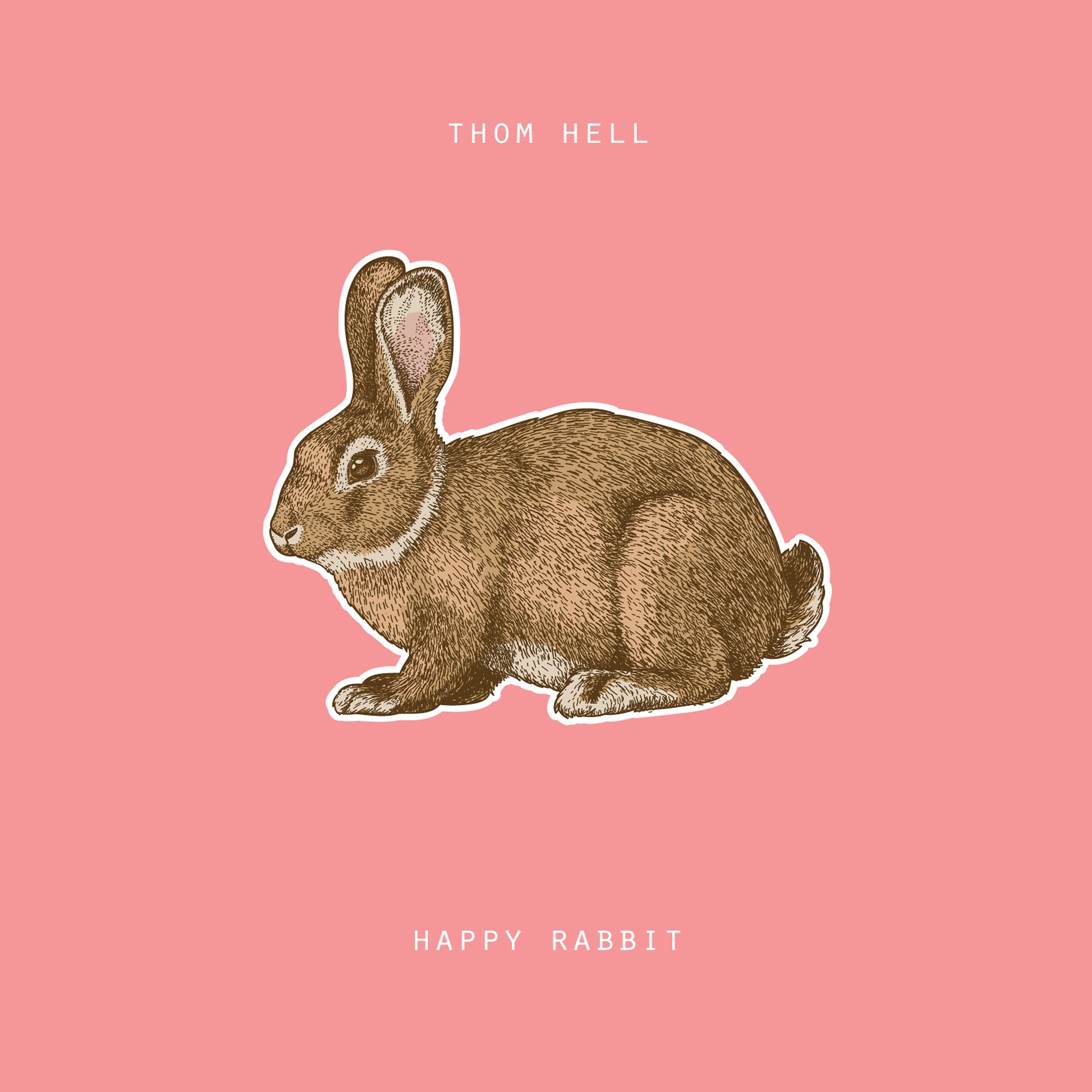 Постер альбома Happy Rabbit