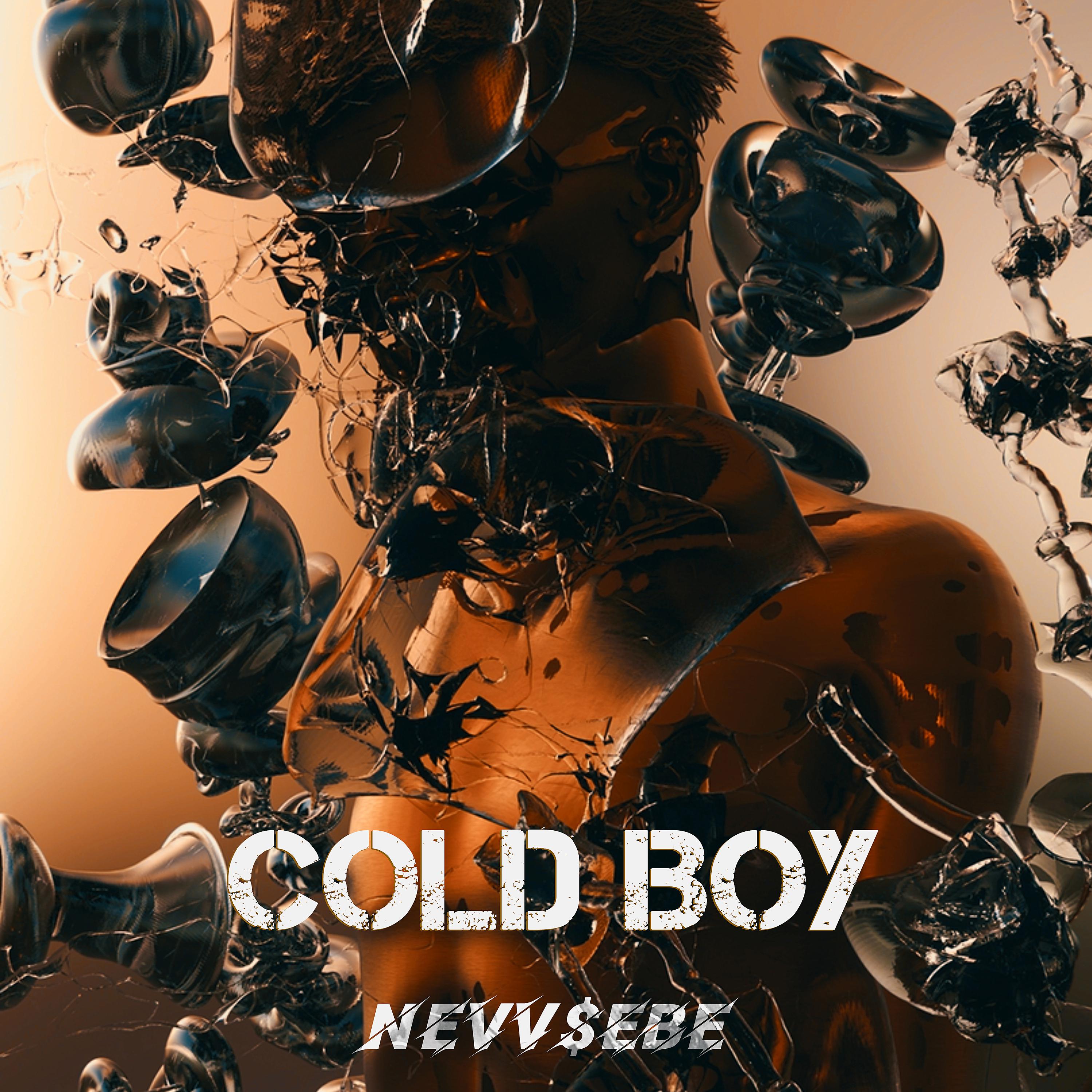 Постер альбома Cold boy