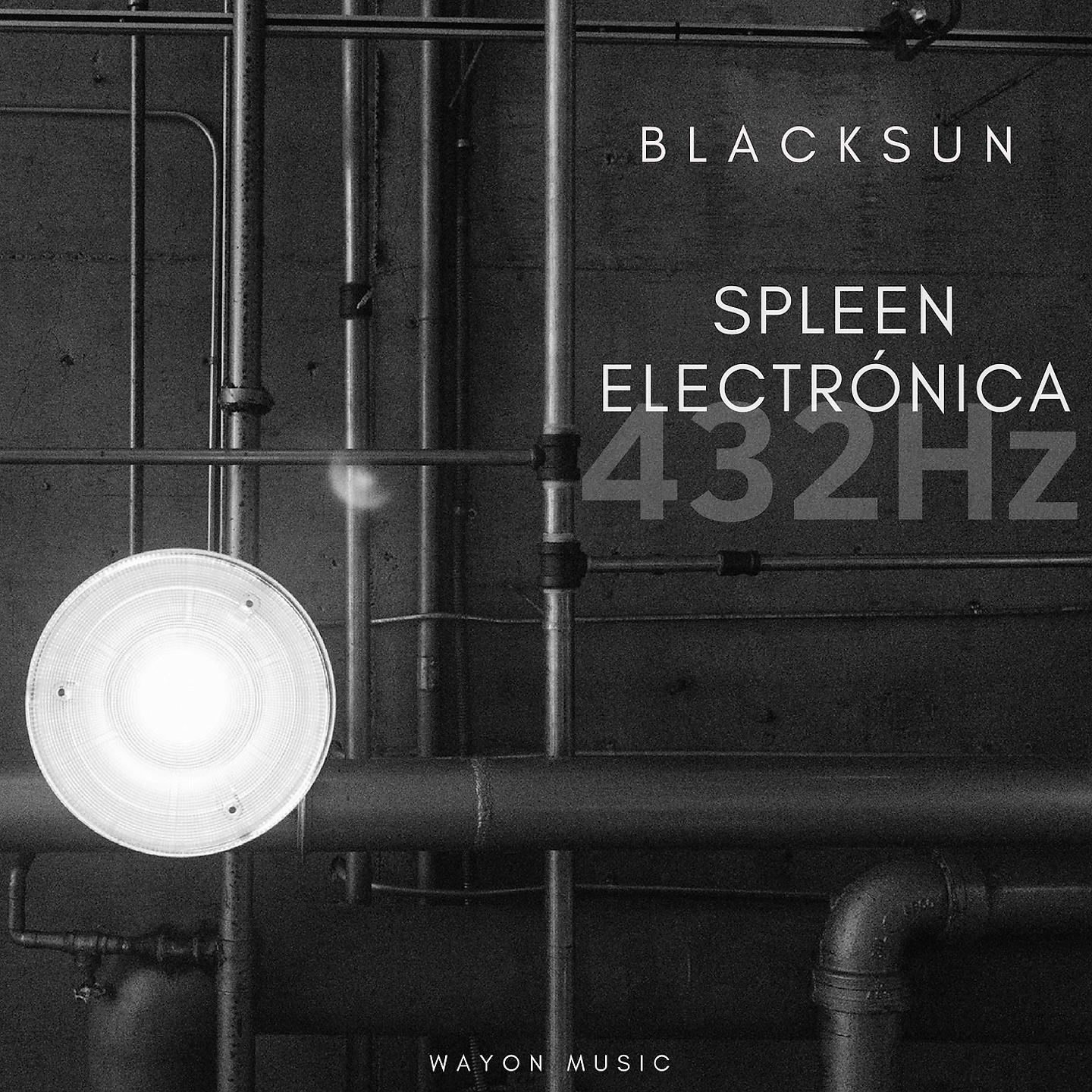 Постер альбома Spleen Electrónica