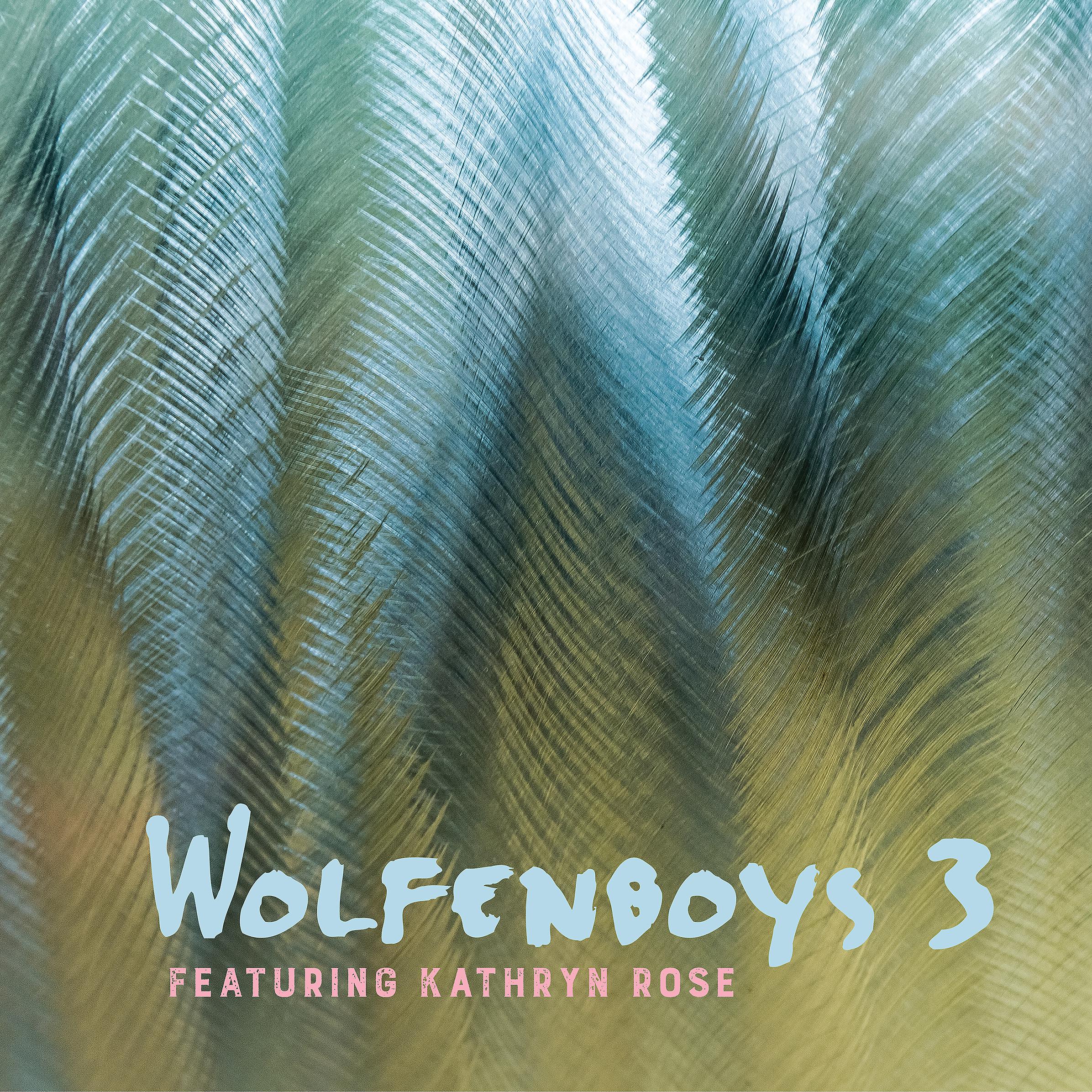 Постер альбома Wolfenboys 3