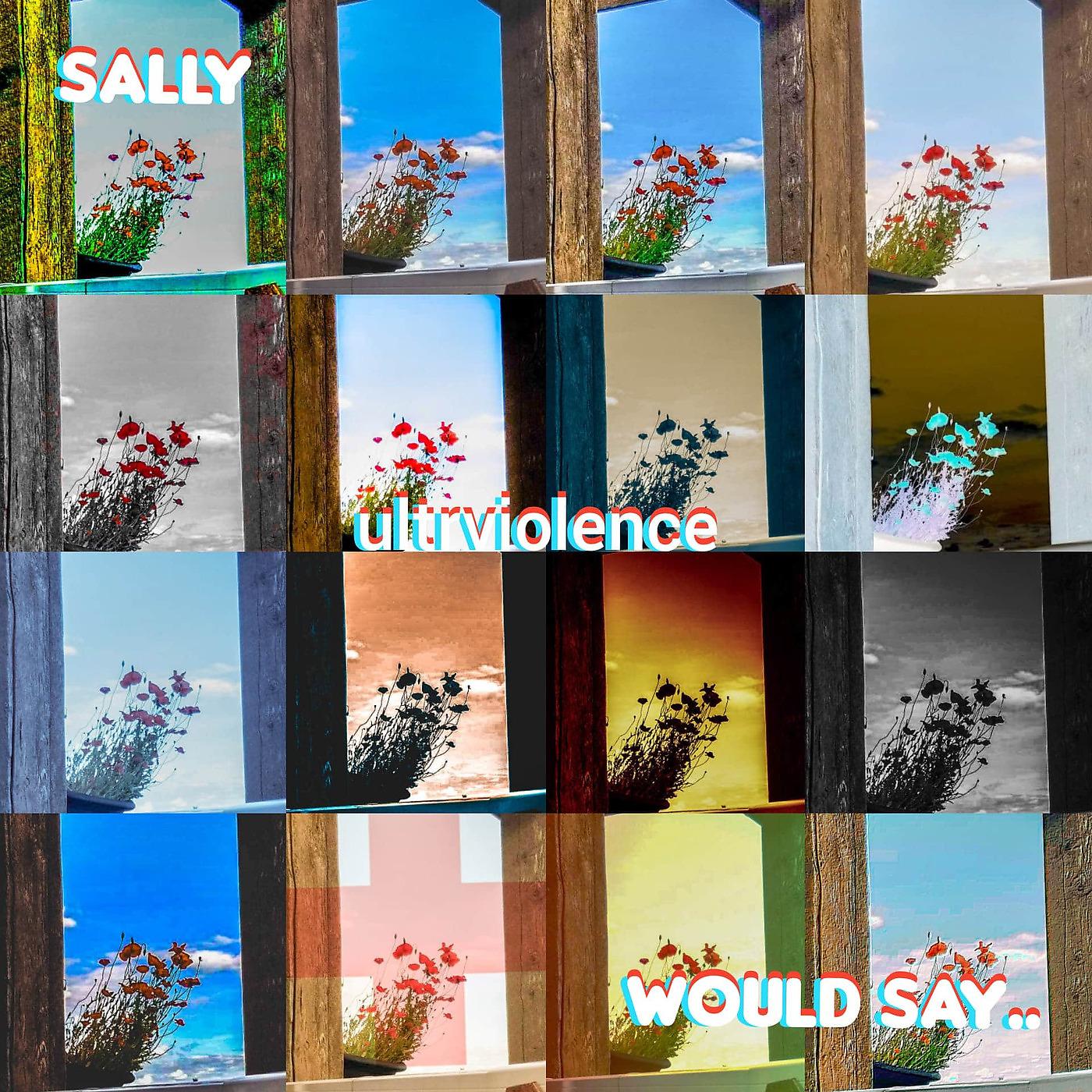 Постер альбома Sally Would Say..