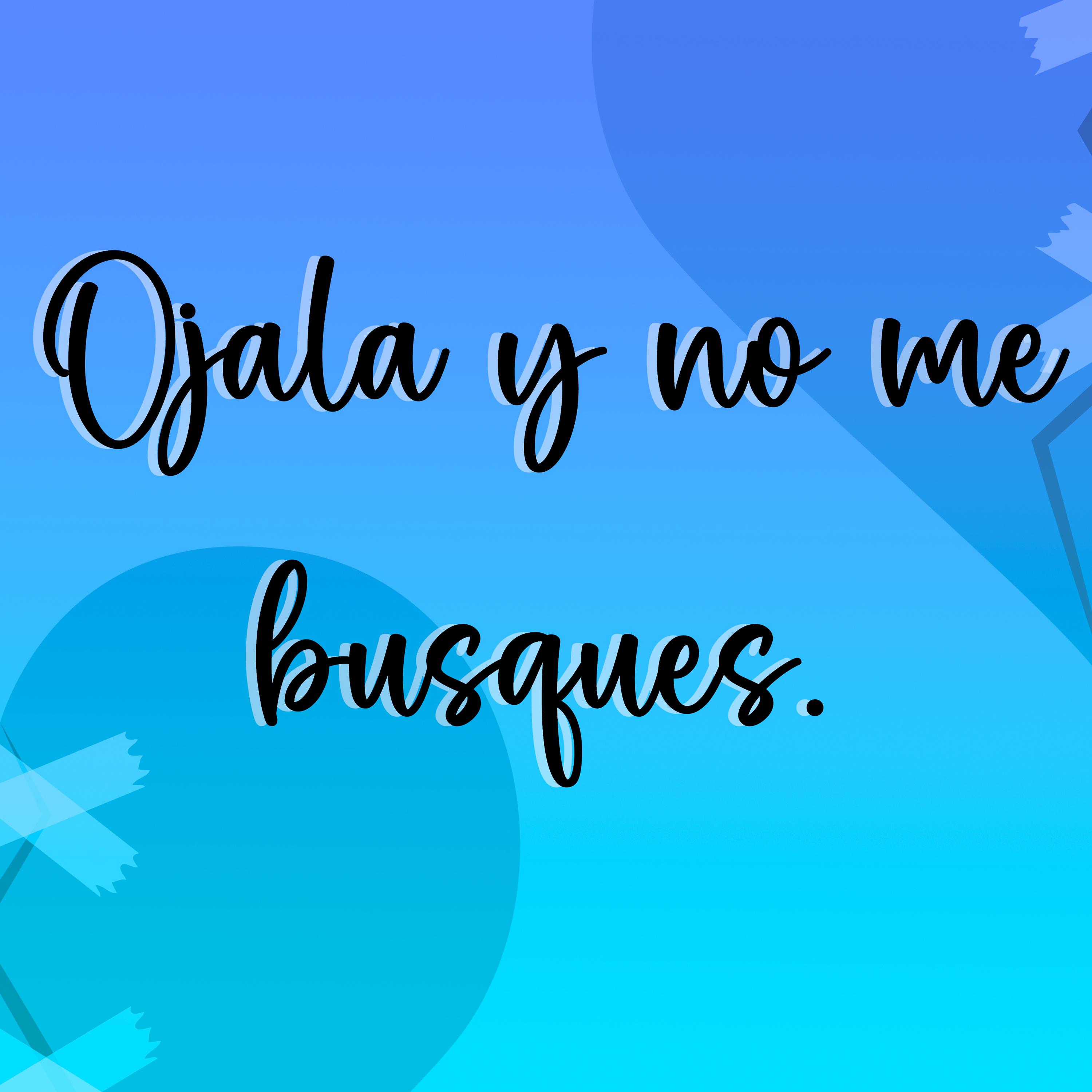Постер альбома Ojalá y No Me Busques