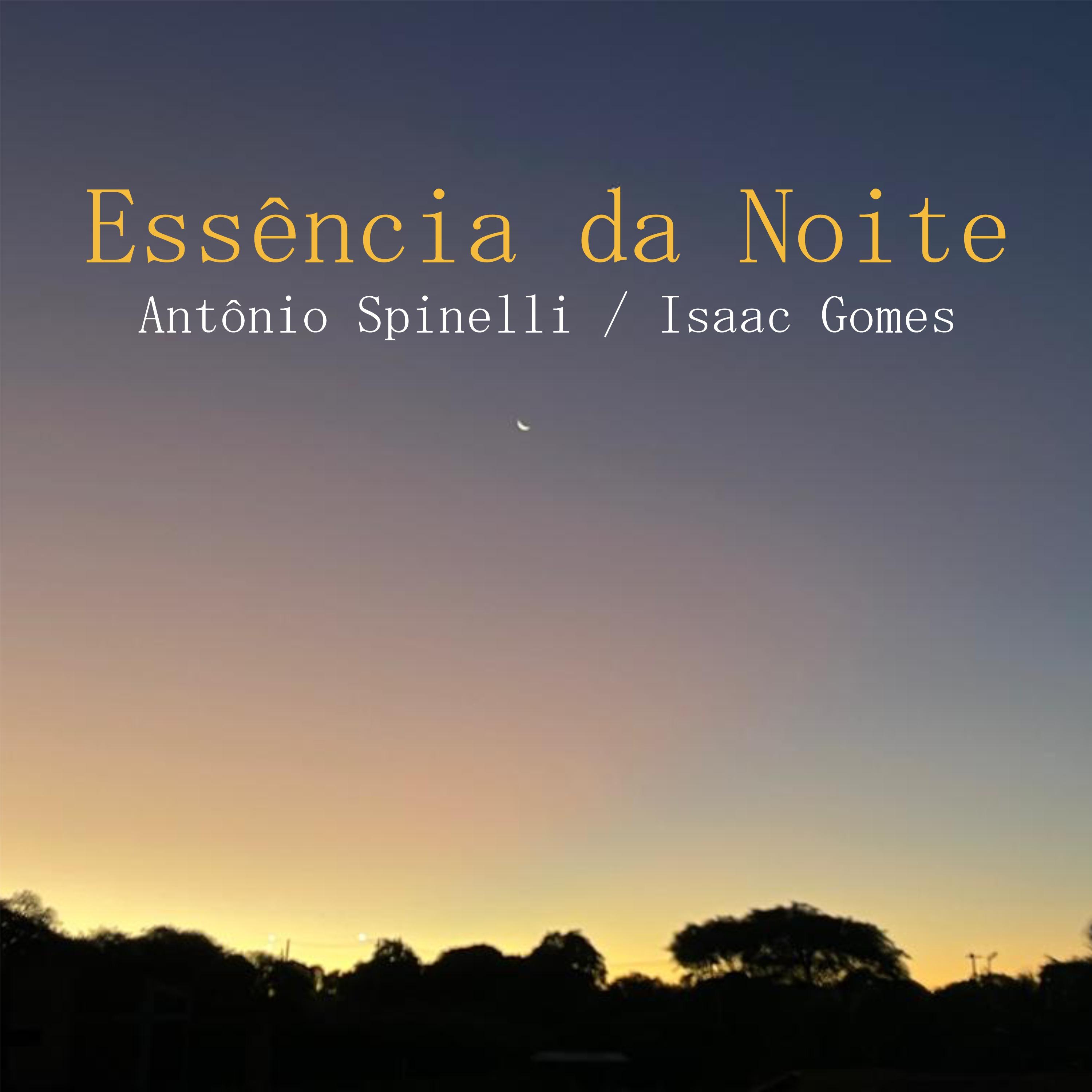 Постер альбома Essência da Noite