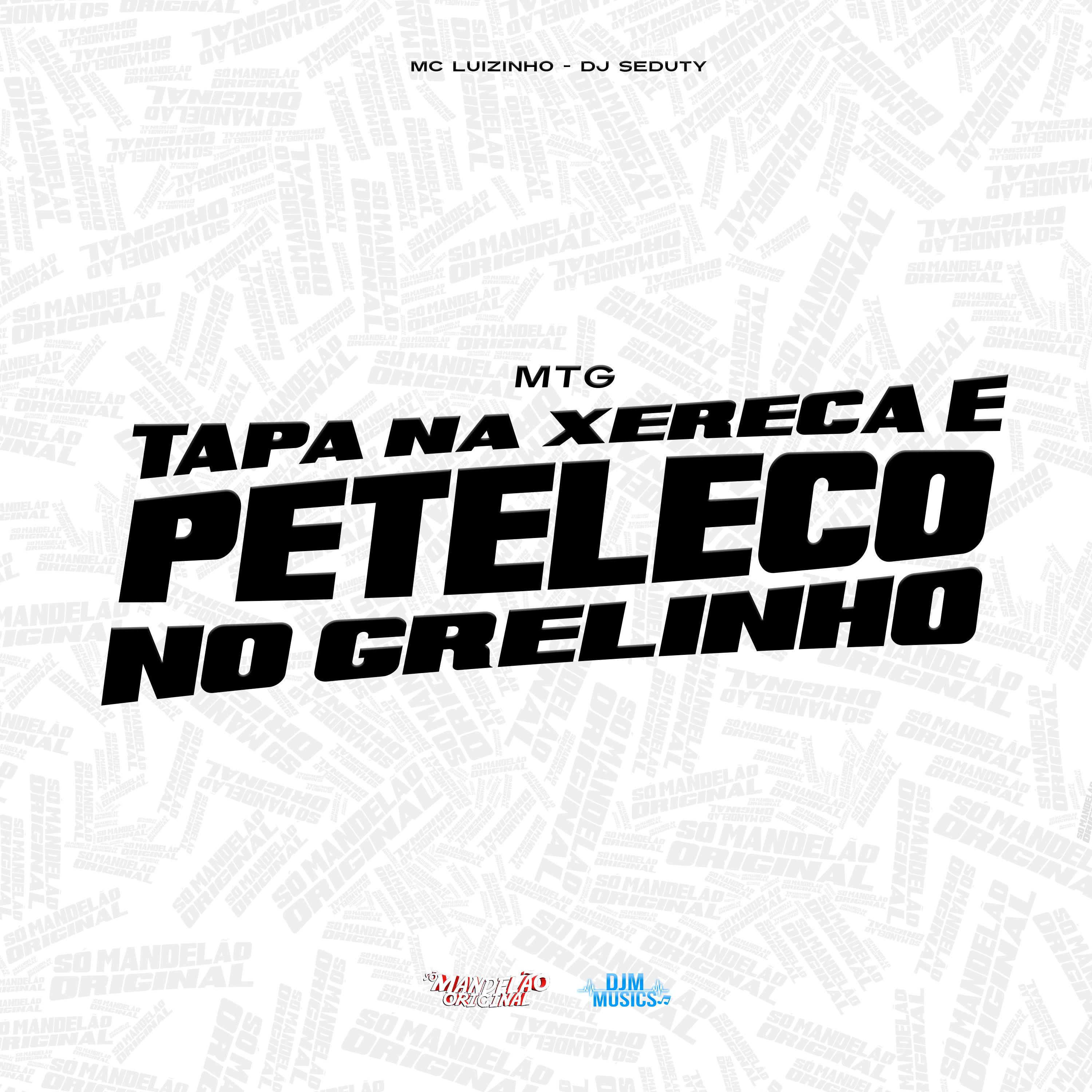 Постер альбома Mtg Tapa na Xereca e Peteleco no Grelinho