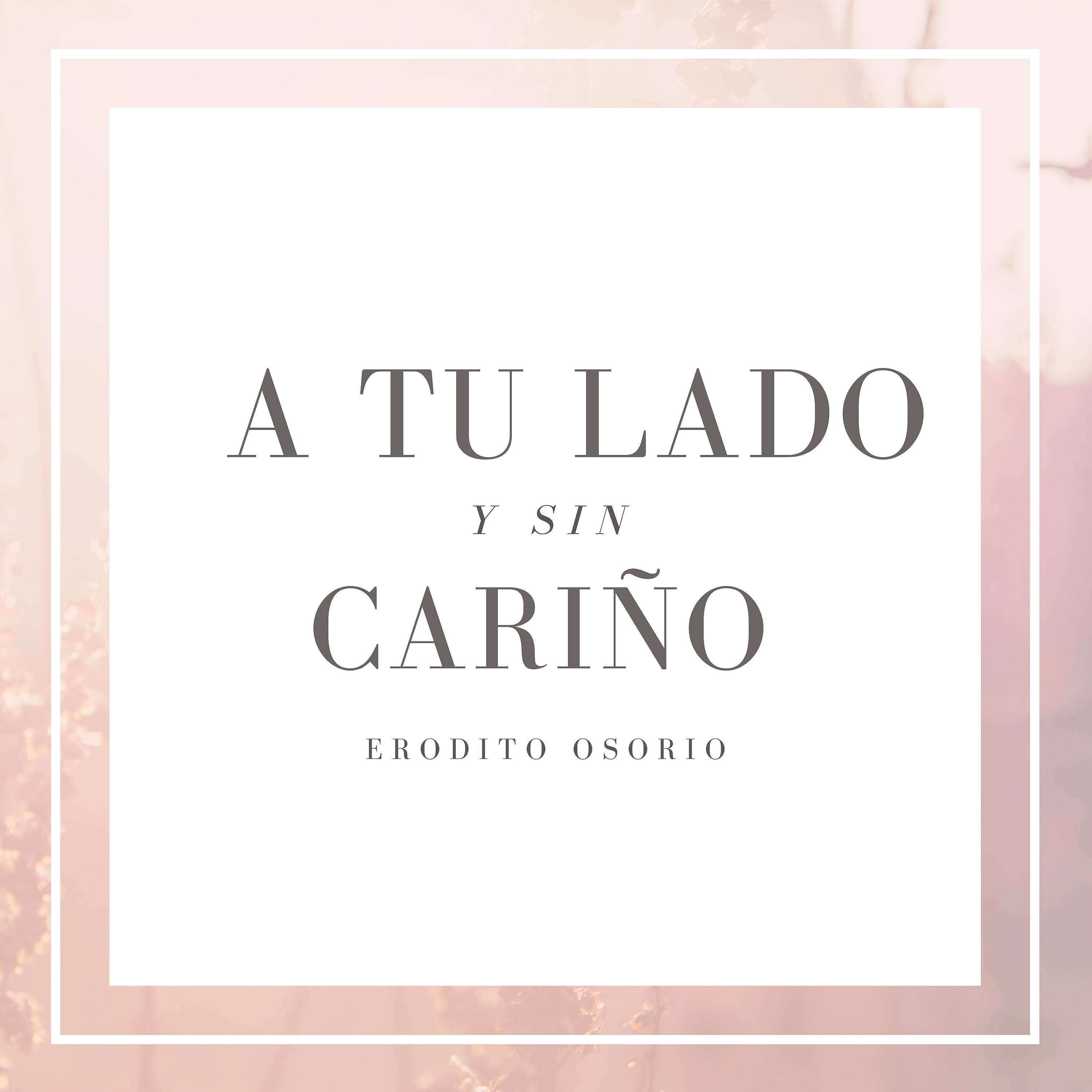 Постер альбома A Tu Lado y Sin Cariño